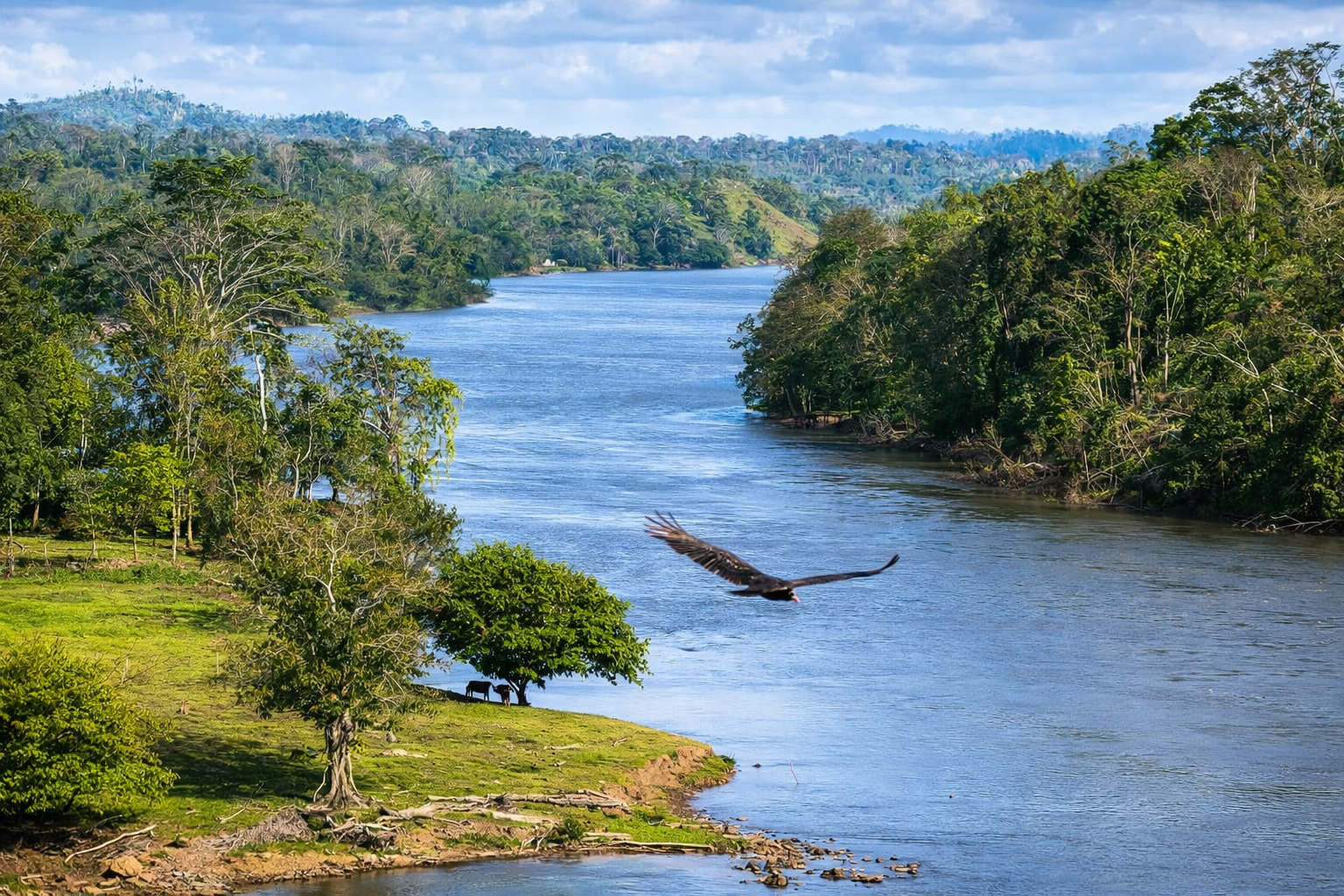 Nicaraguan Communities Secure GCF Withdrawal from Project That Threatened Their Rights