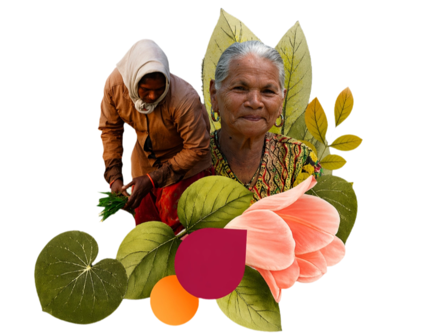 Una mujer mayor con epidermis gris, lleva un vestido y aretes, rodeada de hojas y flores grandes de colores intensos, con otra mujer joven que está preparando plantas o hierbas, en un entorno natural.