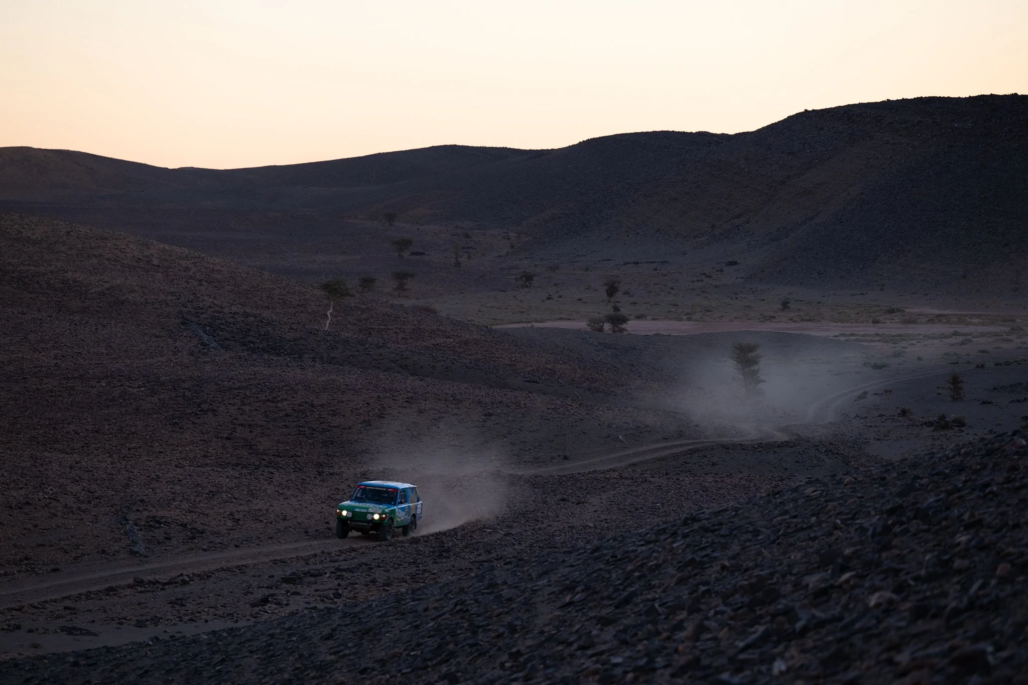 Maxime DELESTRE_384 François Xavier Bourgois-Patrice Auzet_MDE_2470.jpg