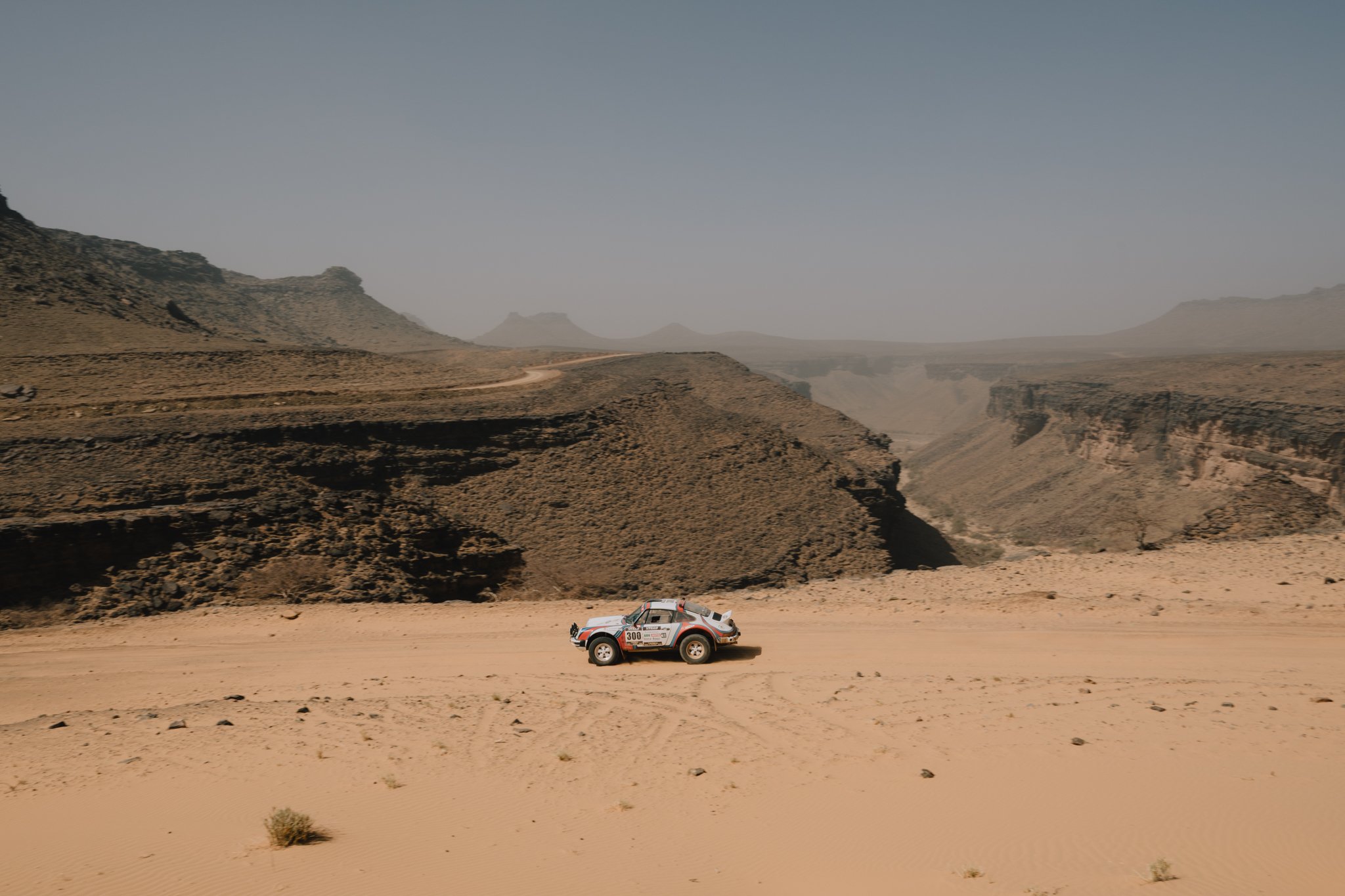 Maxime DELESTRE_300 Erik Dr. Brandenburg-Marnie Brandenburg_MDE_5255.jpg