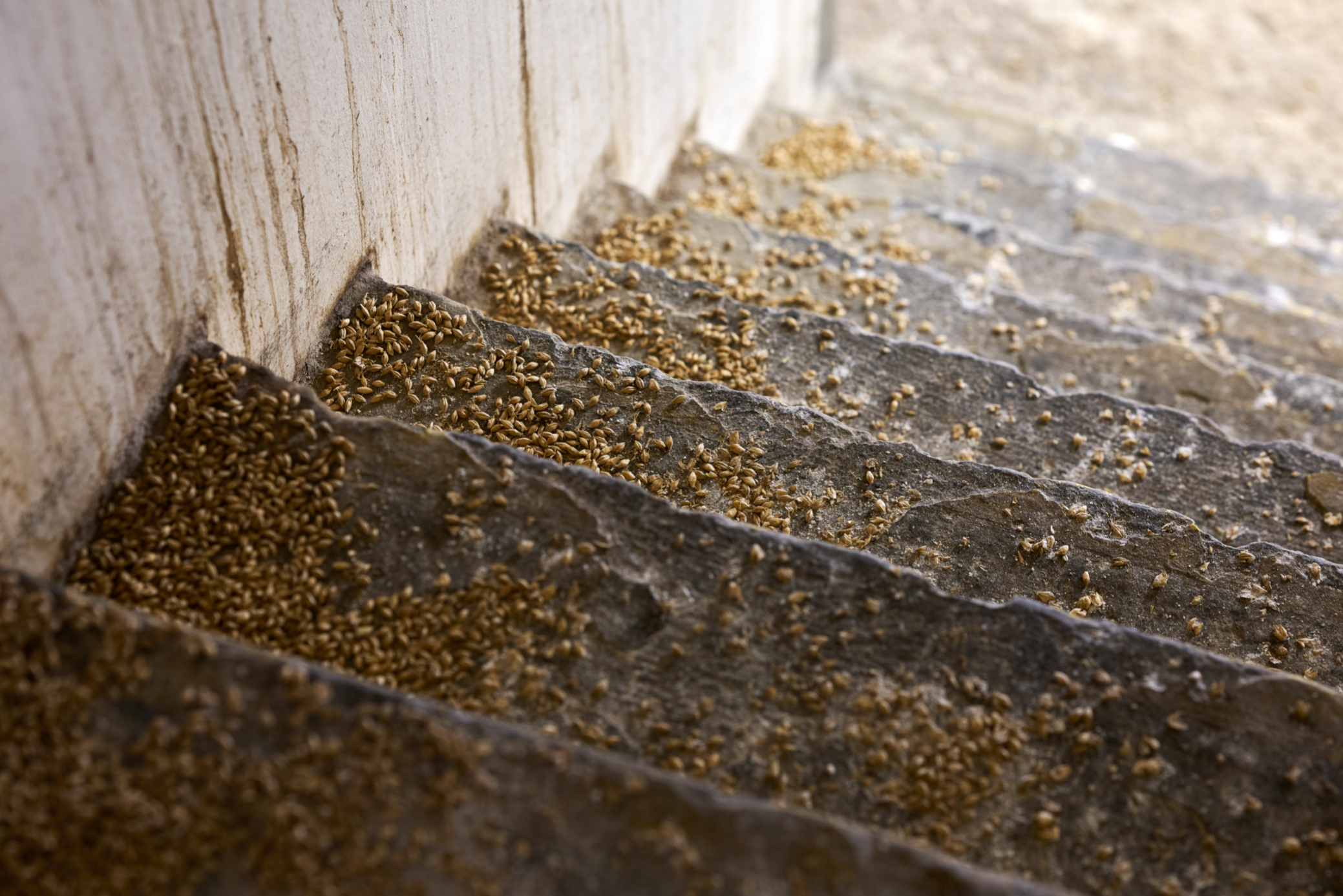 Screenshot 2025-10-28 at 11.06.17.png