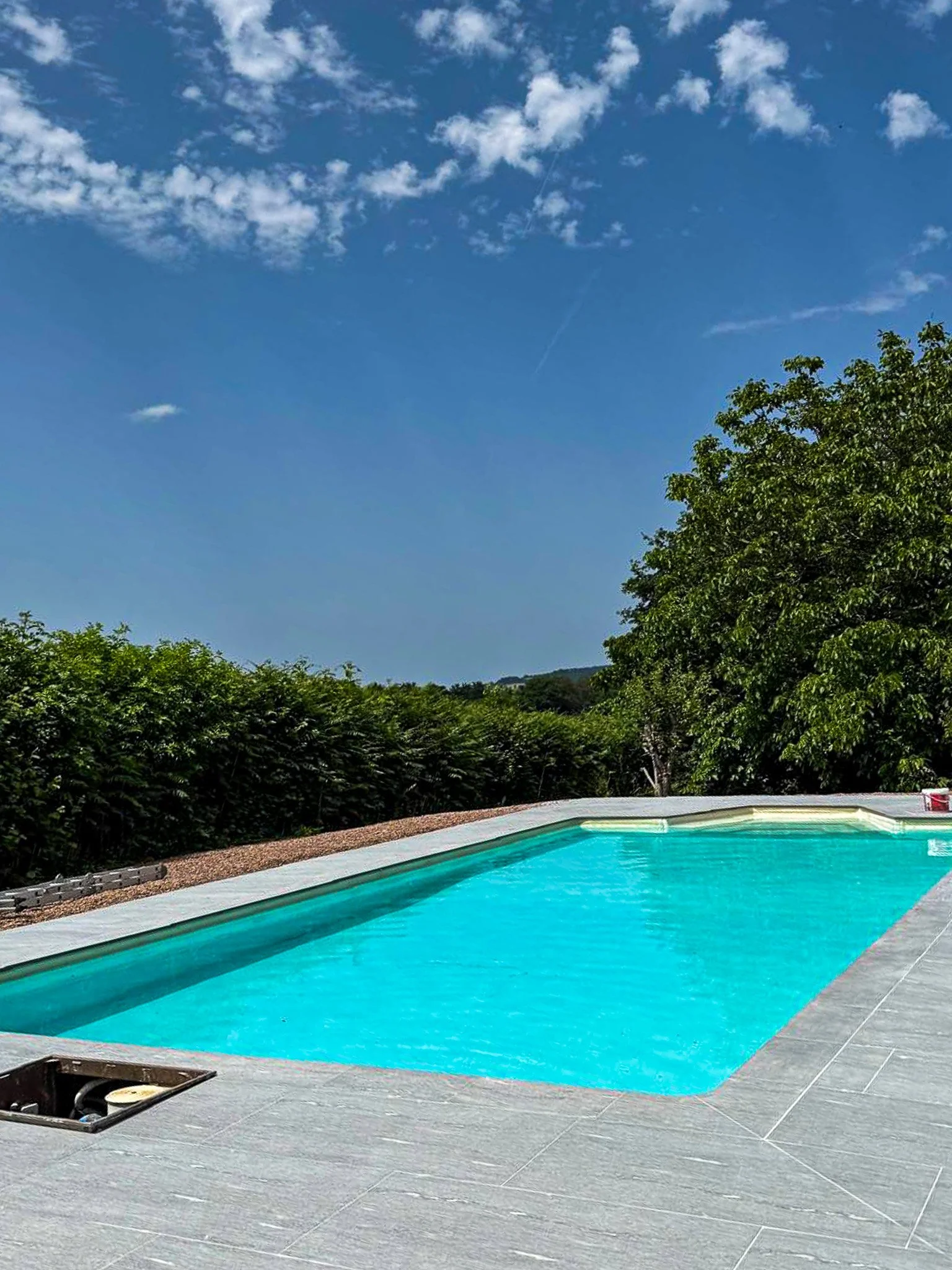Piscine extérieure en pierre avec un ciel bleu et quelques nuages, entourée d'arbustes et de feuillages verts.