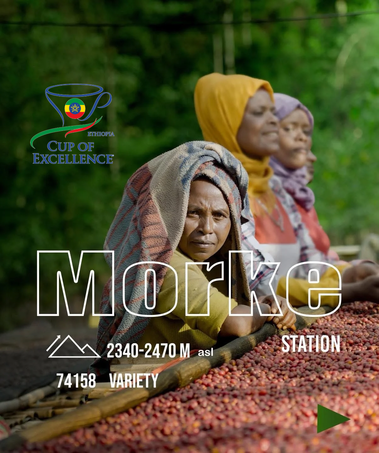 Ethiopia Morke Washed - Dark Room Slow Dried (100g)