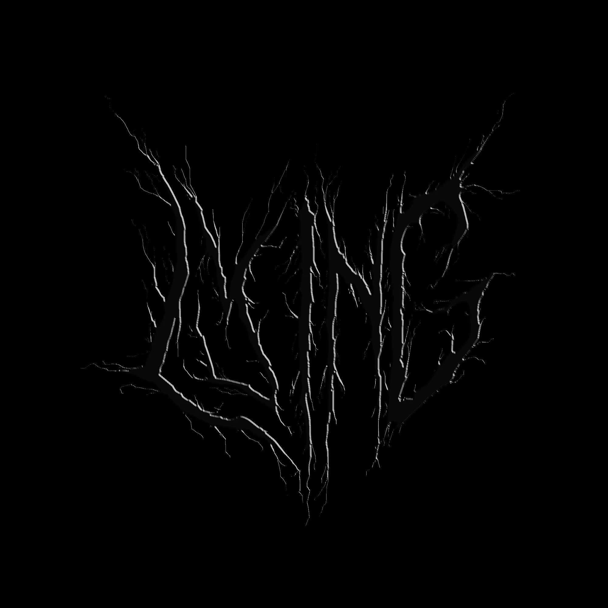 Black background with white, leafless tree branches arranged in a symmetrical pattern resembling a tree or a branching structure.