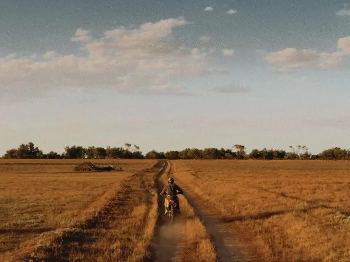 Hoggin&rsquo;

Shot on iPhone and Nikon FG-20