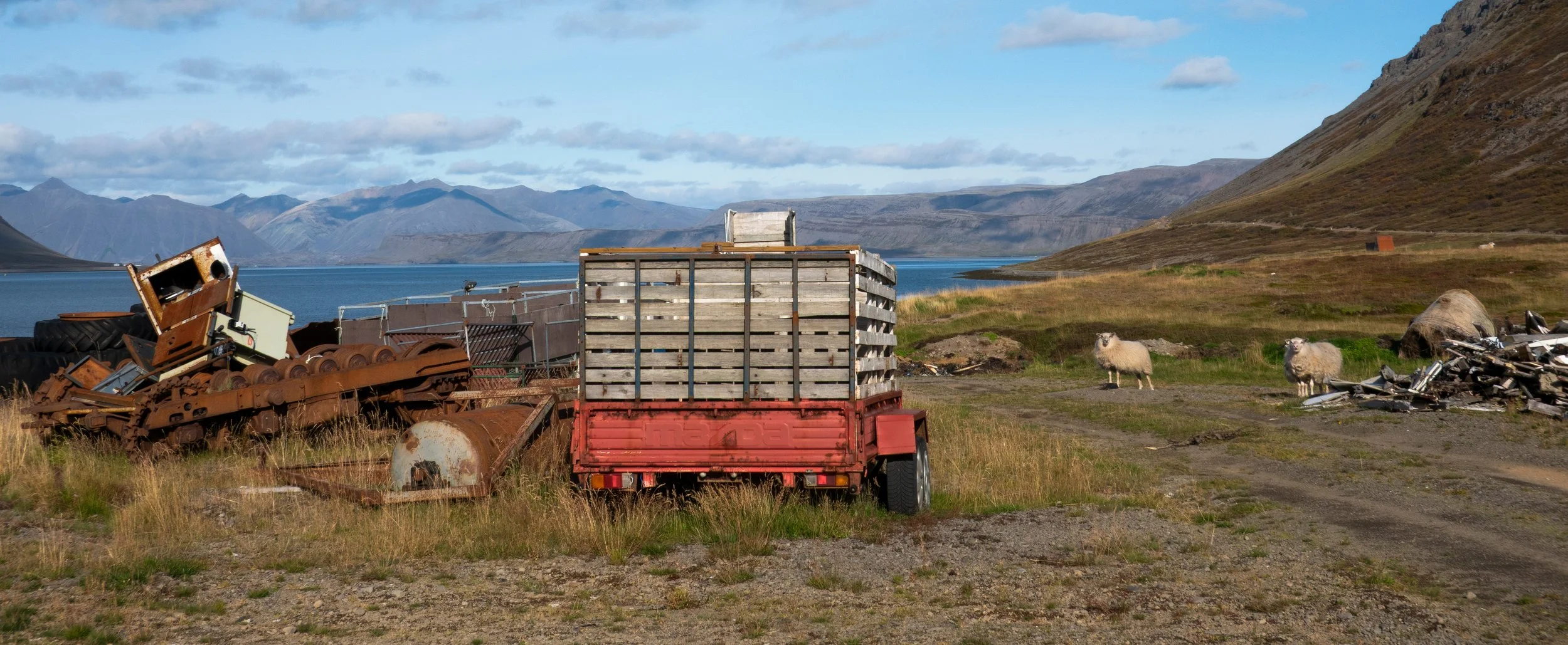 Katja Kondarev, Erwischt