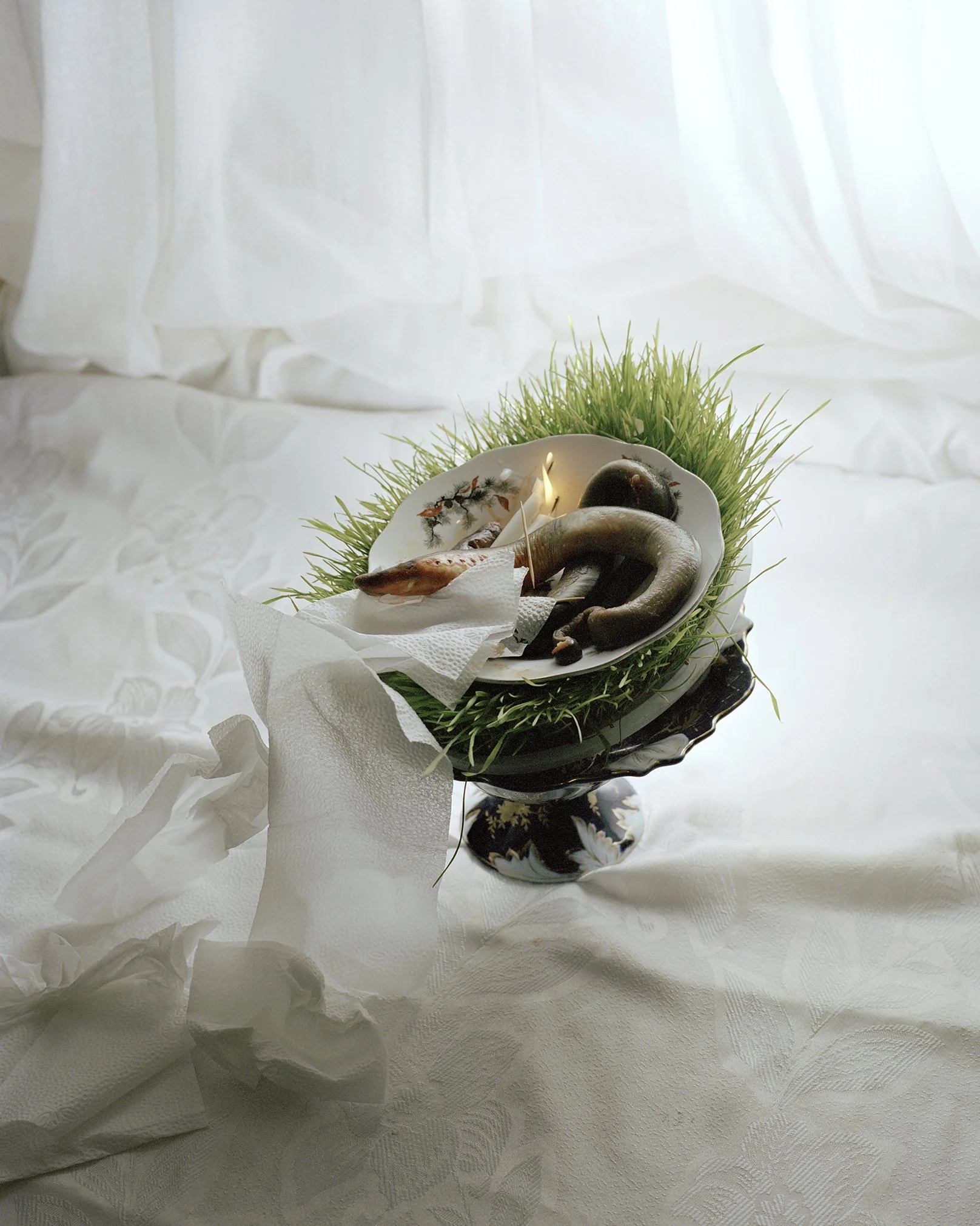 Ilkin Guliyev entitled aus der Serie die Gewohnheit der Fiktion Stillleben Aal auf Servierteller mit Gras und Servietten