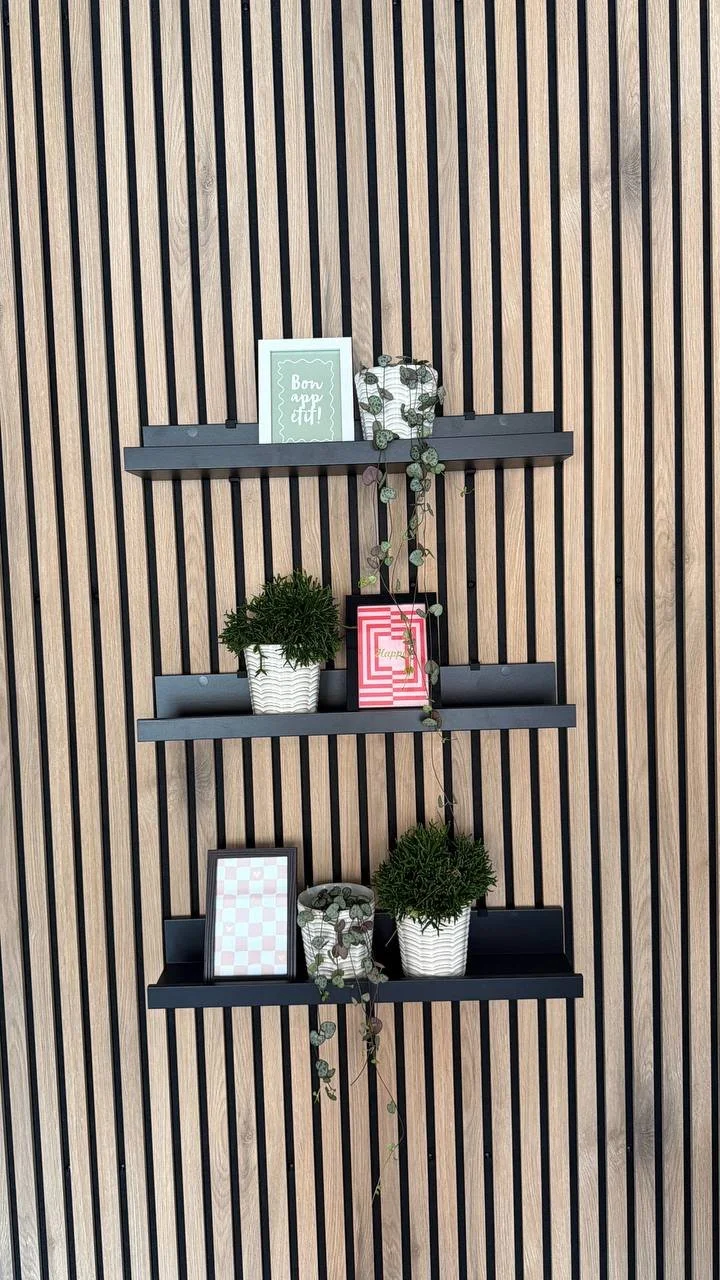 IMAGE 2026-02-05 11:46:36.jpg