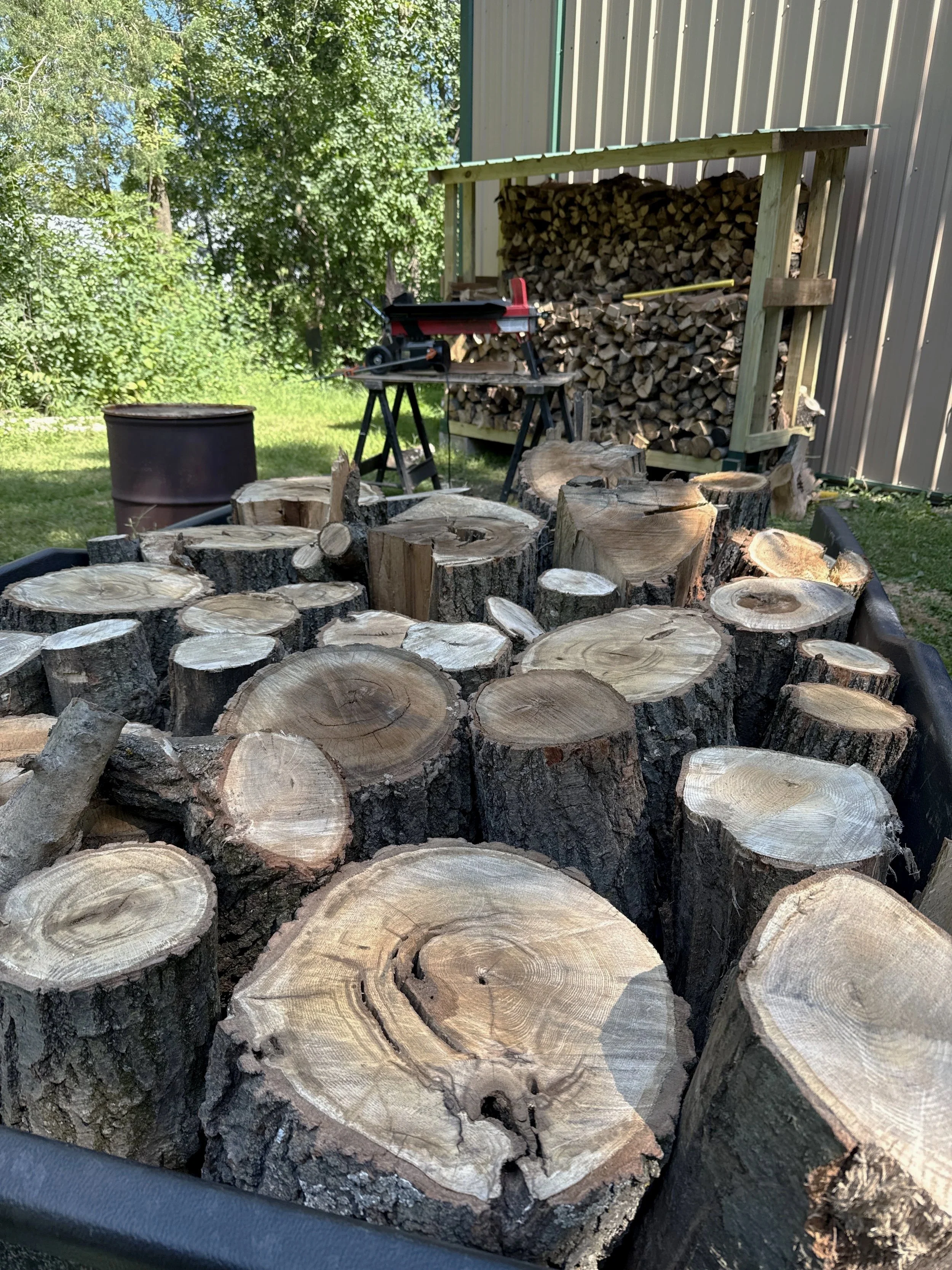 Stacked chopped firewood in an outdoor backyard setting with trees, shed, and wood-cutting tools in the background.