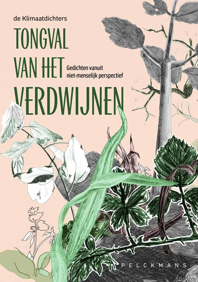 tongval van het verdwijnen boek.jpg