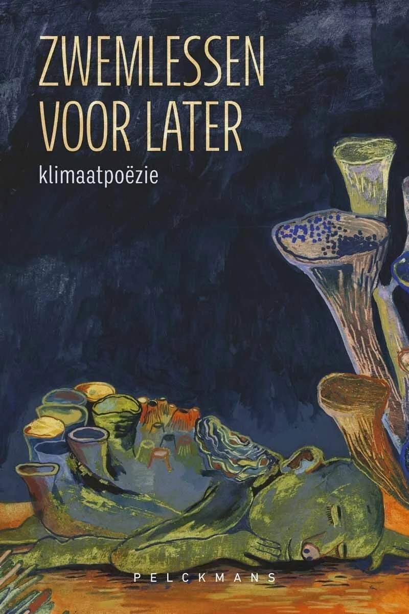 zwemlessen voor later boek.jpg