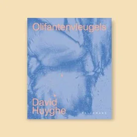 Interview met David Huyghe