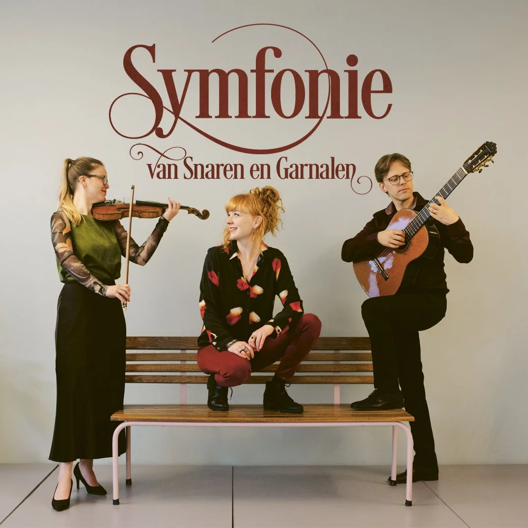 Huisconcert Symfonie van Snaren en Garnalen samen met muzikanten Hannah Van Laere en Stijn Denys