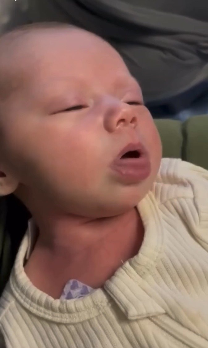 Lethargy or collapse (Severe)
Sudden drowsiness, floppiness, paleness or reduced responsiveness.