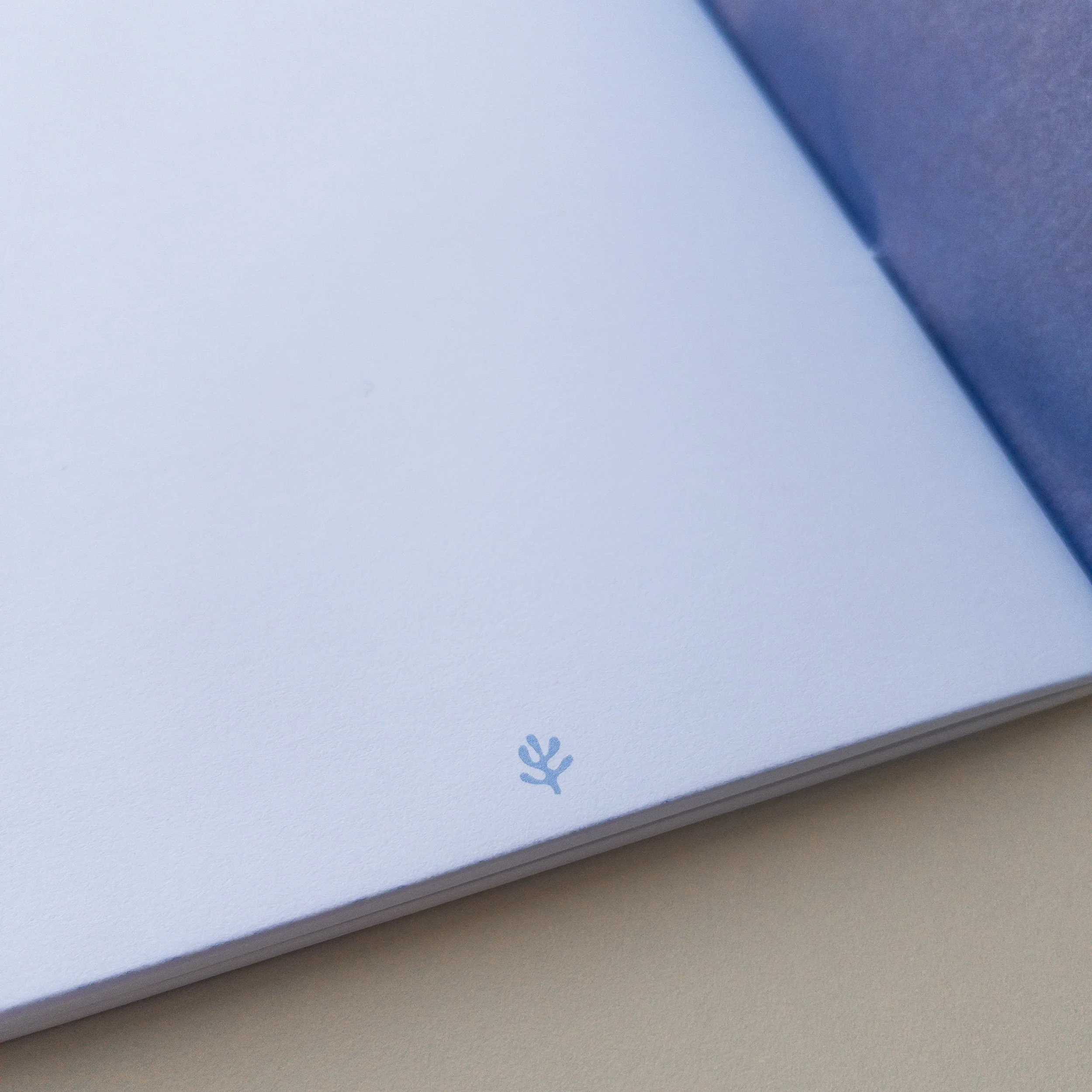 Editionen LOR Webshop-105.jpg