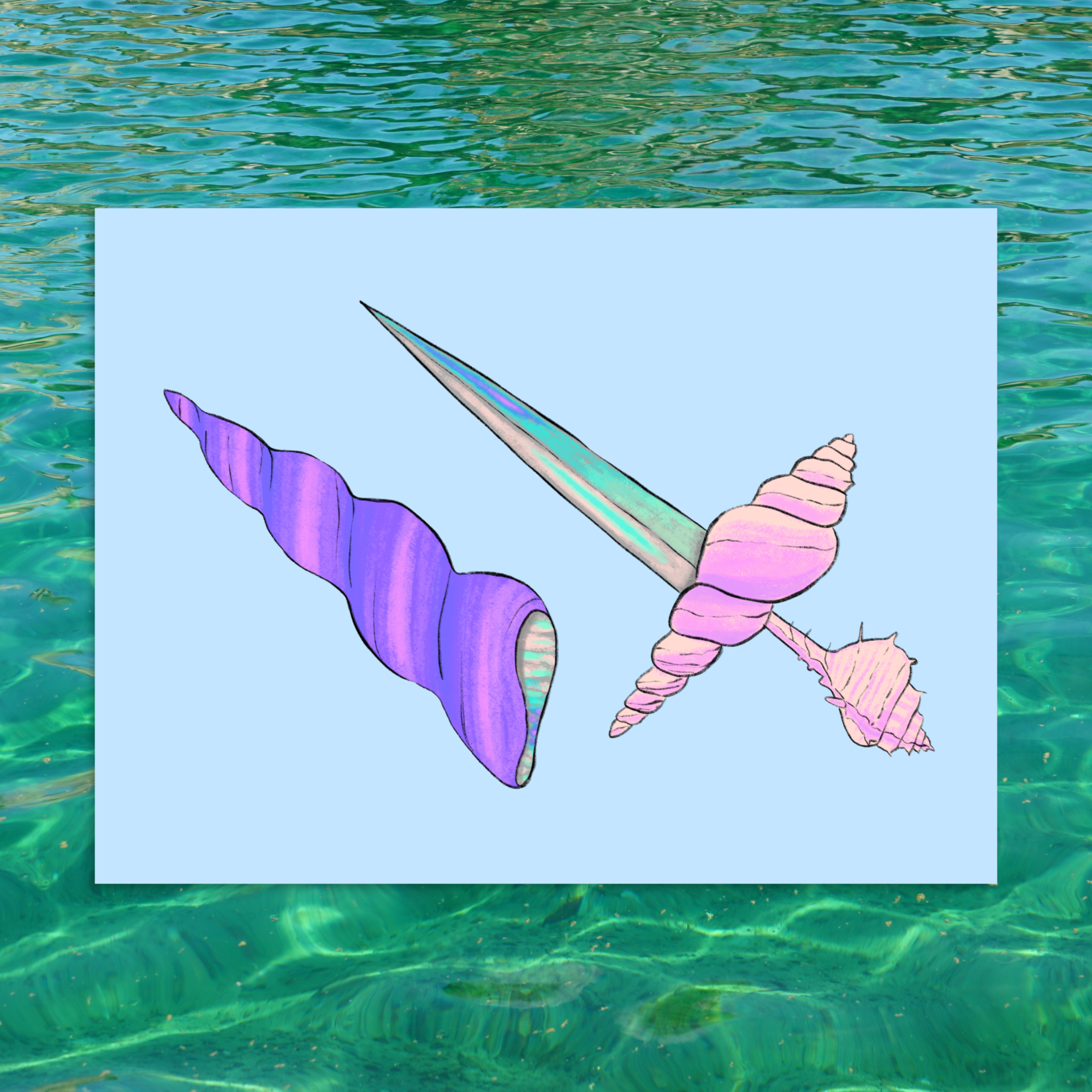 Seashell Dagger poster