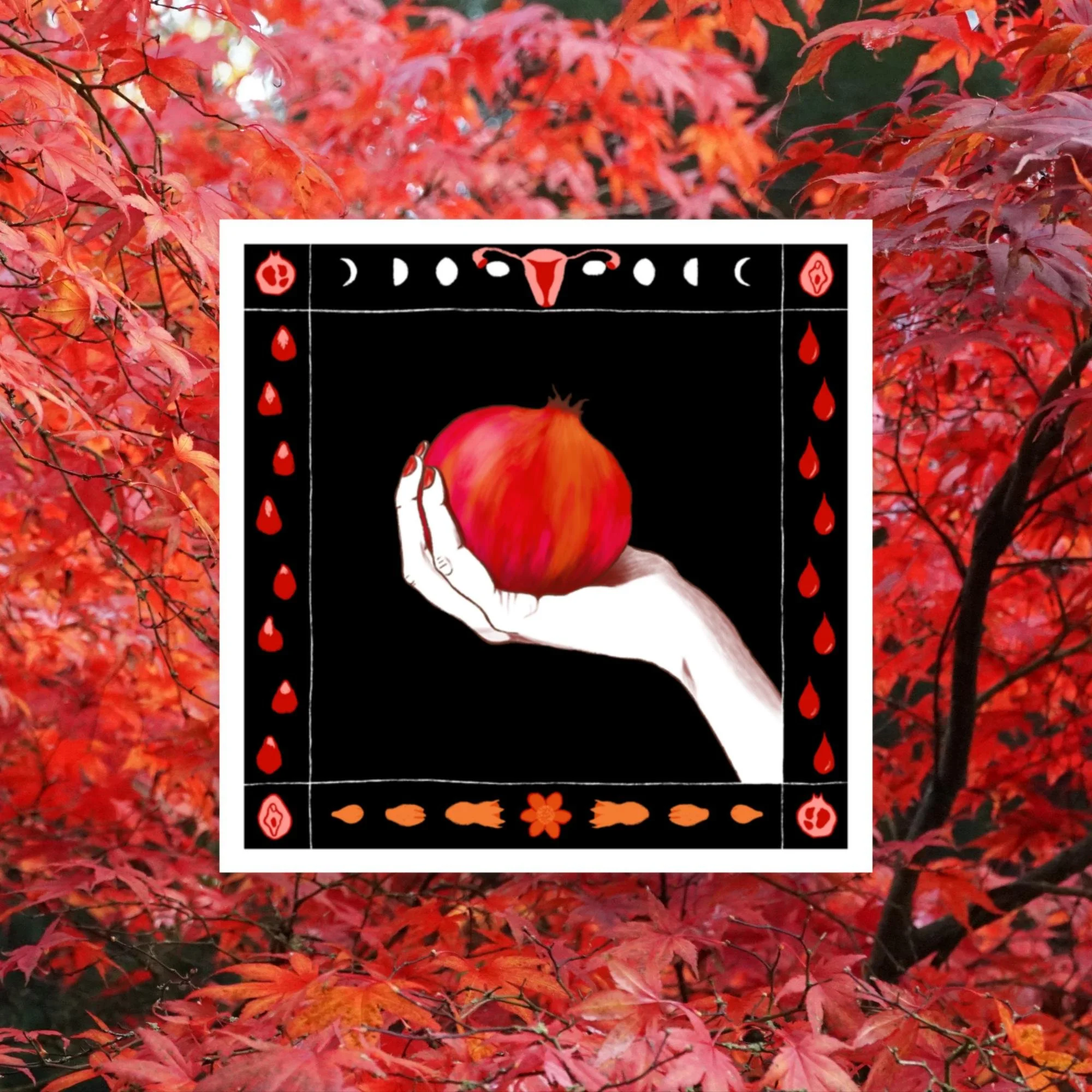 Pomegranate poster