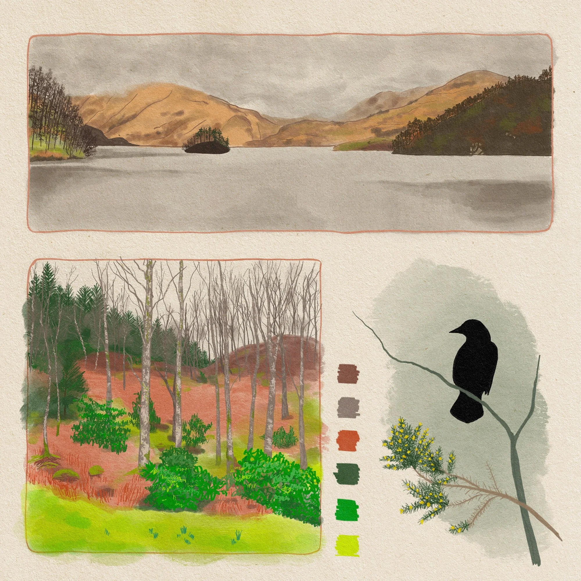 Scotland with texture.jpg