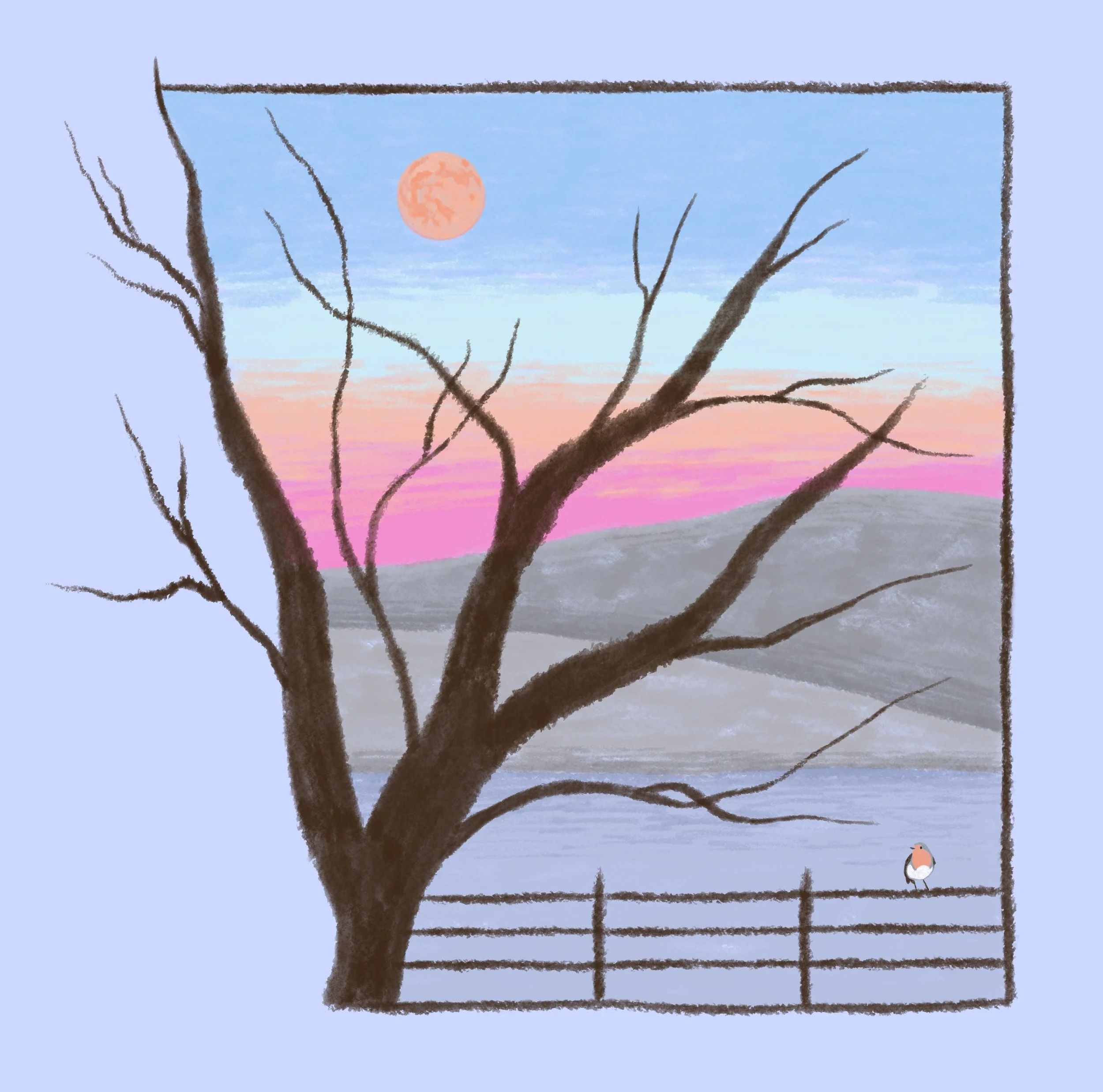 IMG_3418.jpeg