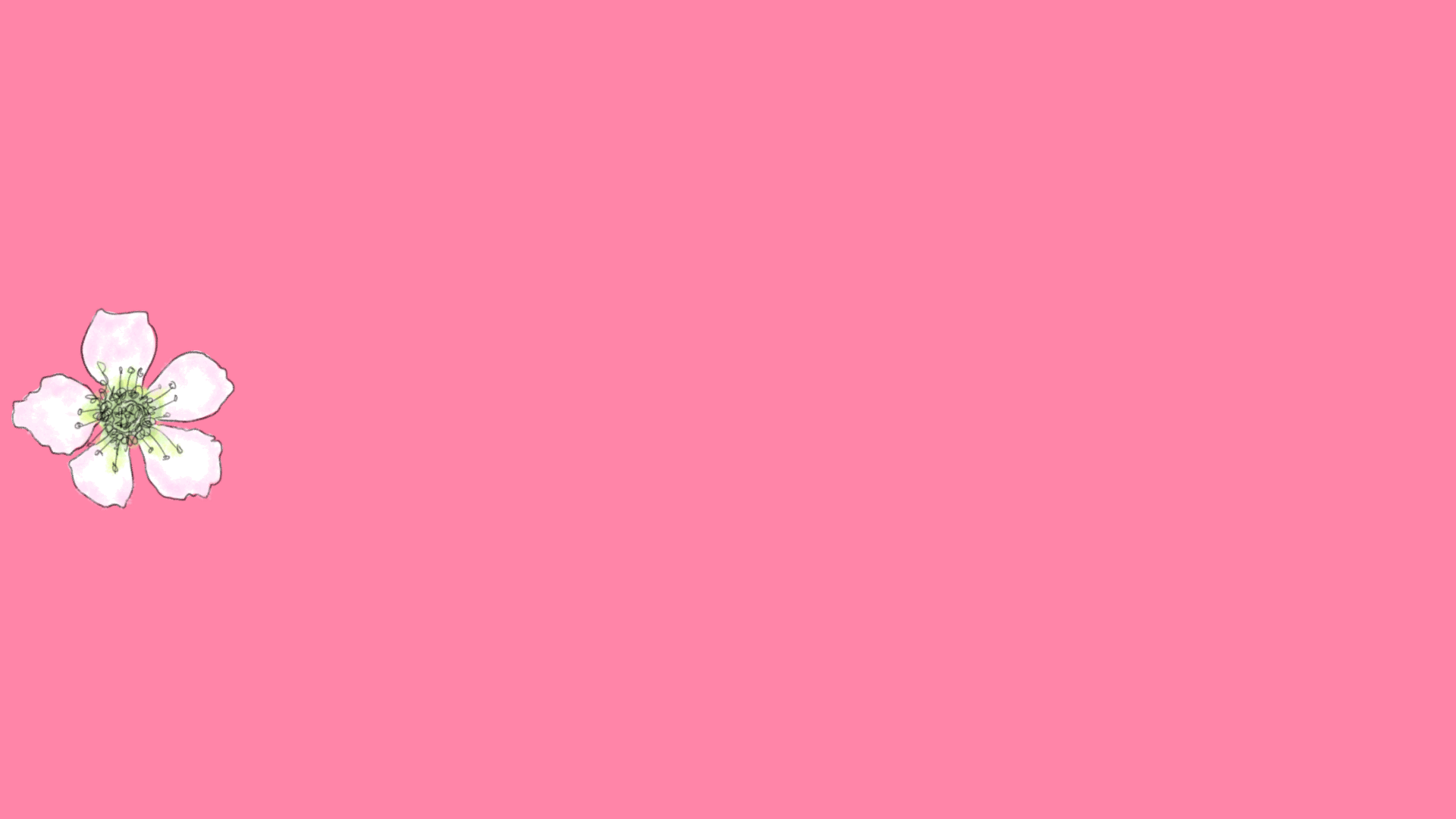 IMG_2533.gif