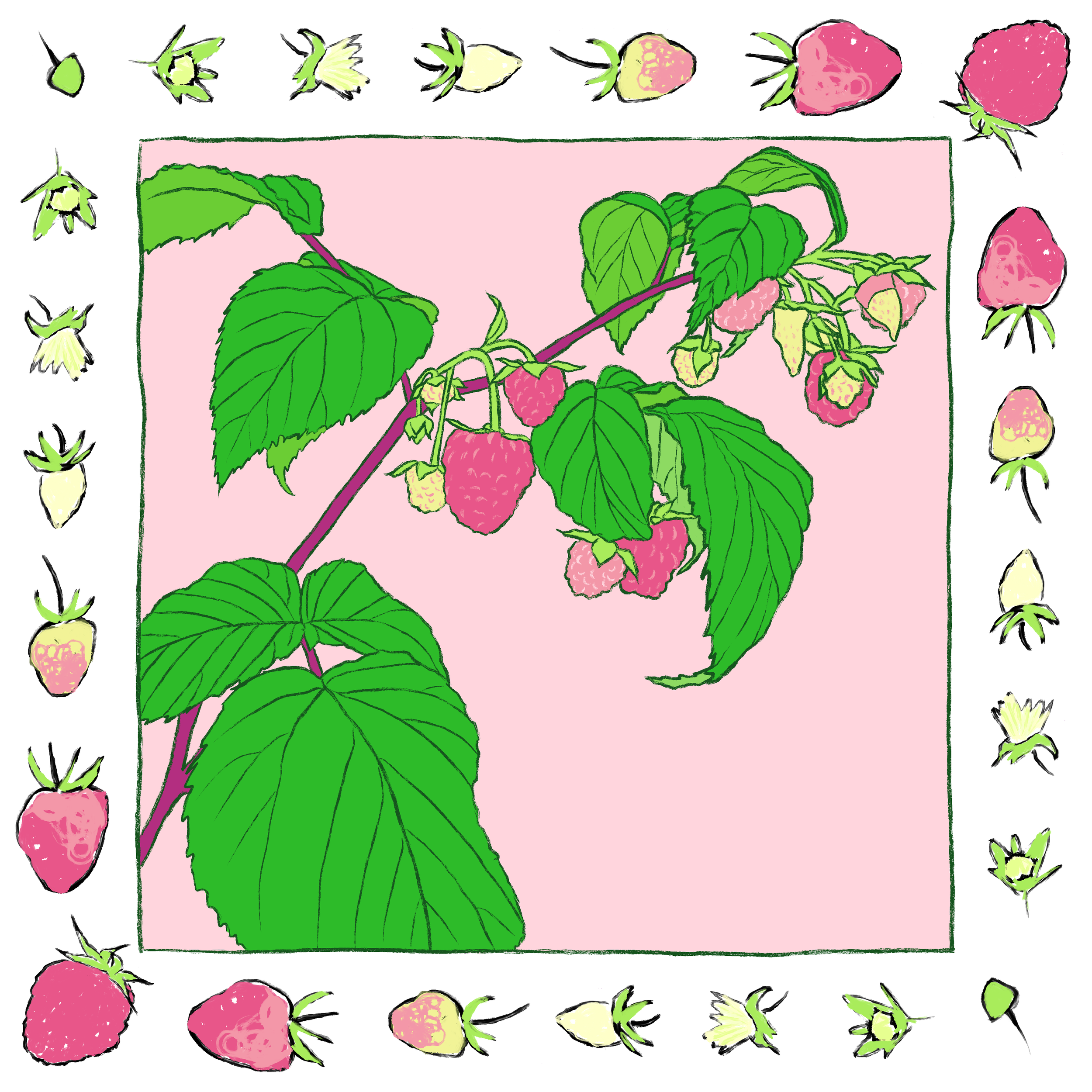 IMG_4257.png