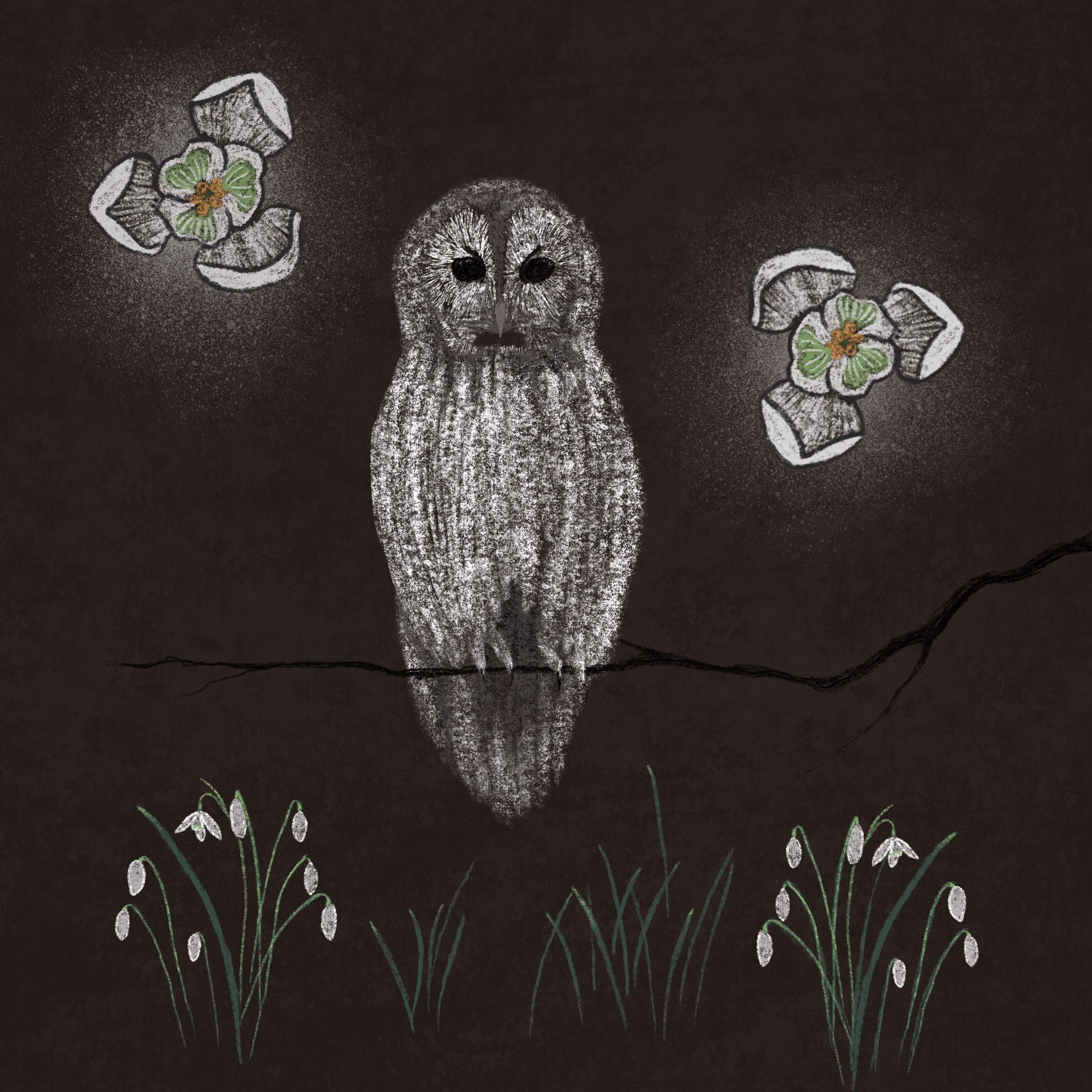 Imbolc_ (1).jpg