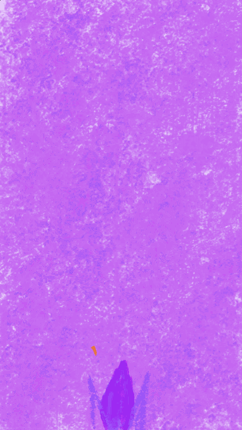 IMG_3460.gif