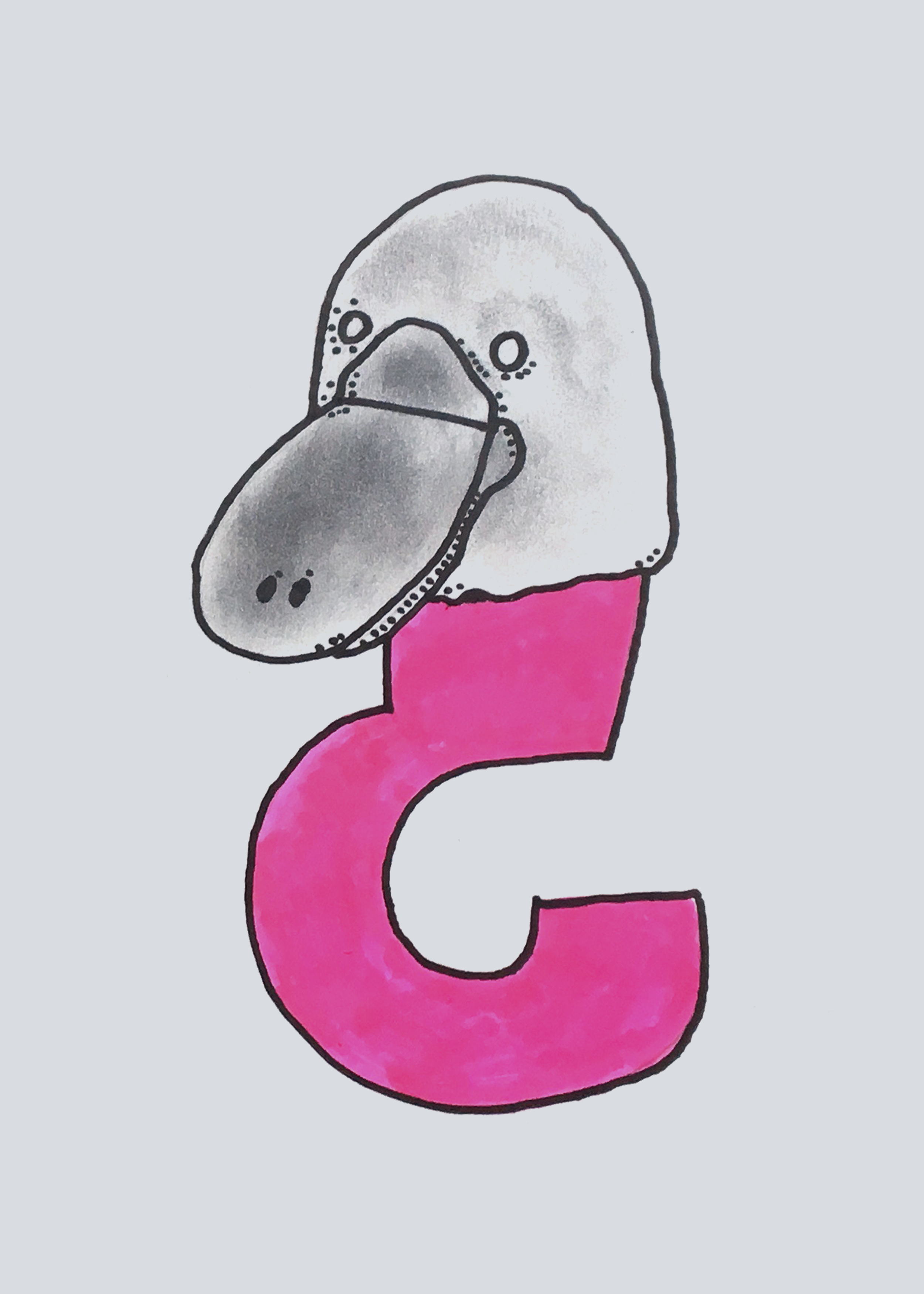 00 Ornitorrinco de pregunta.png
