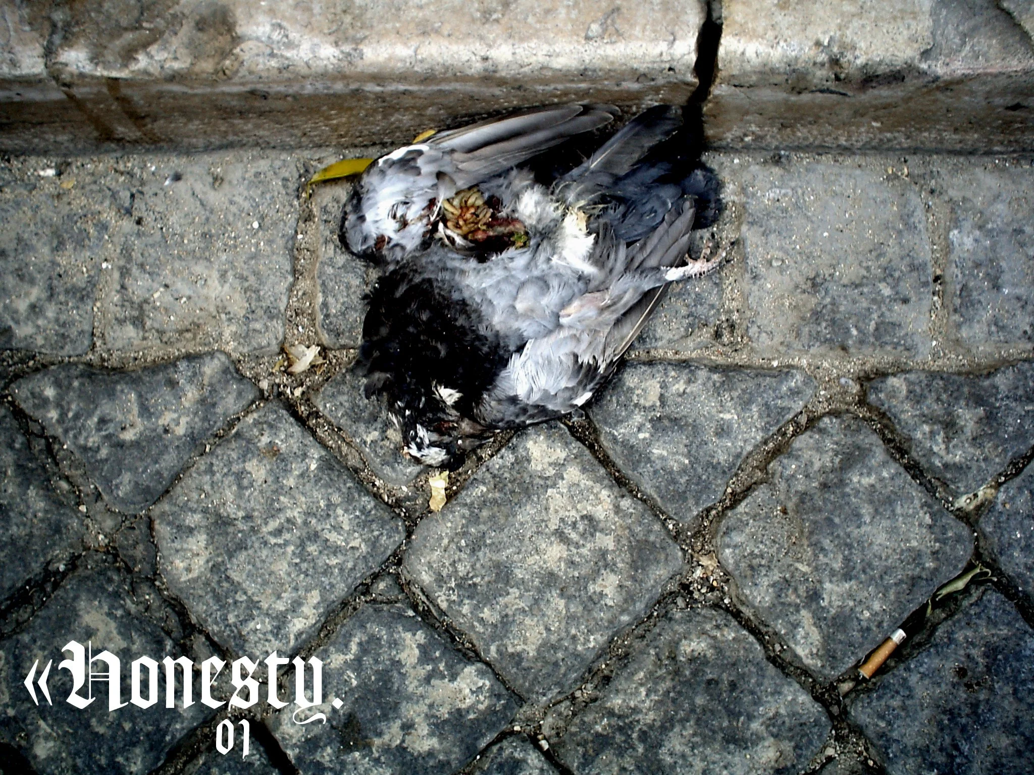 01 Honesty.jpg