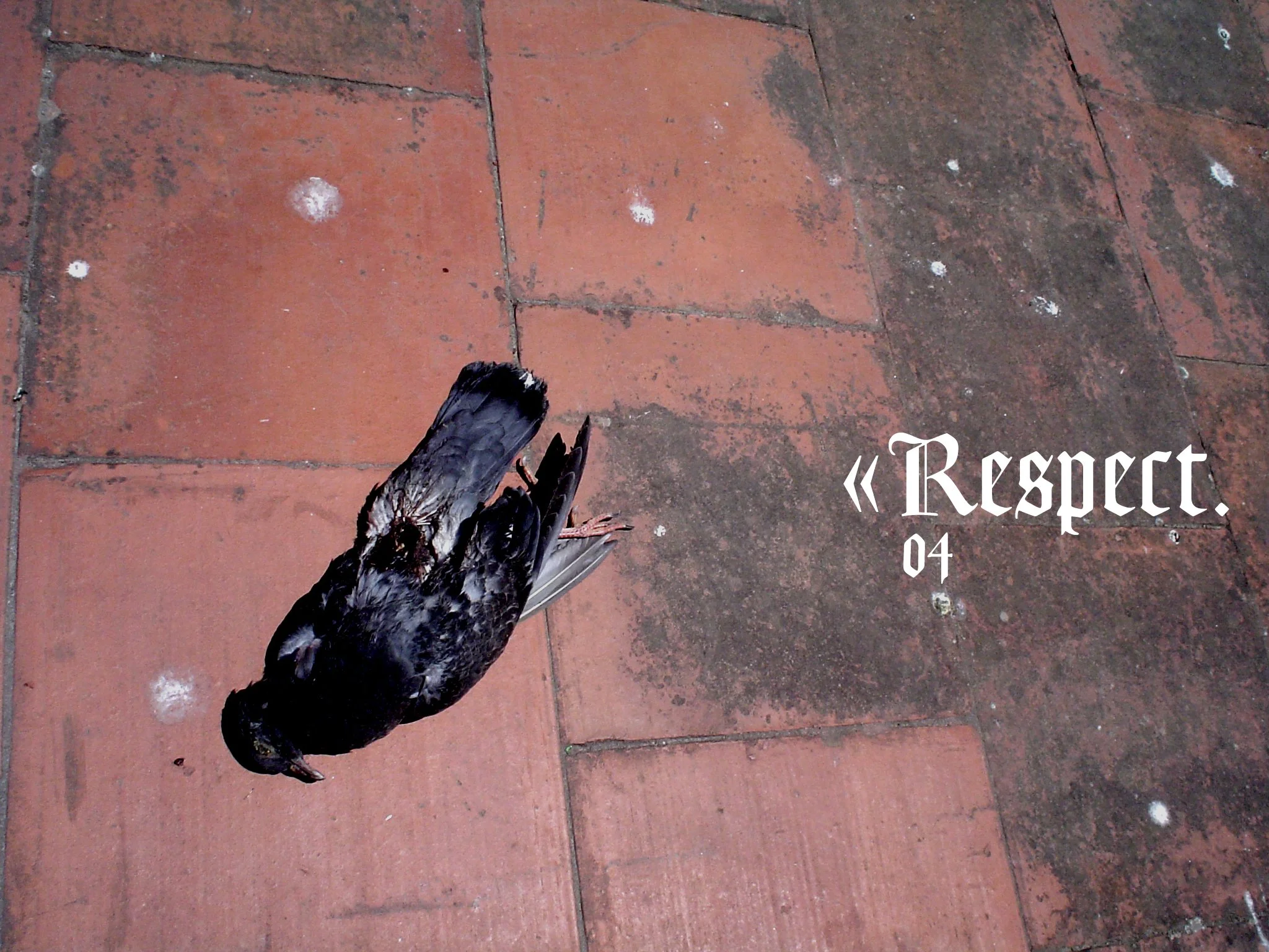 04 Respect.jpg
