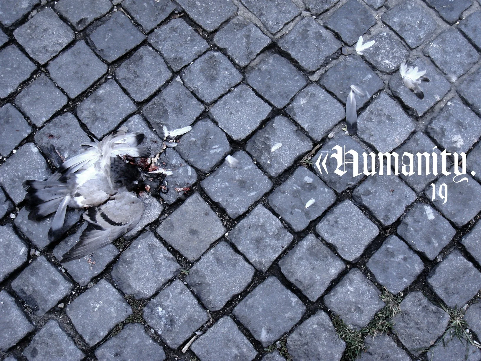 19 Humanity.jpg