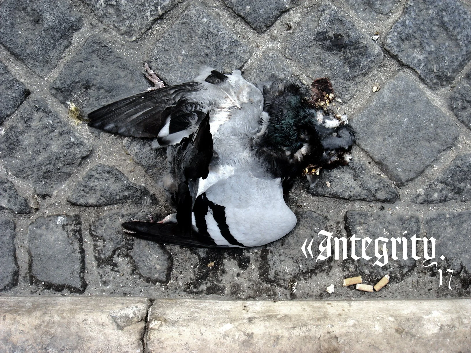 17 Integrity.jpg