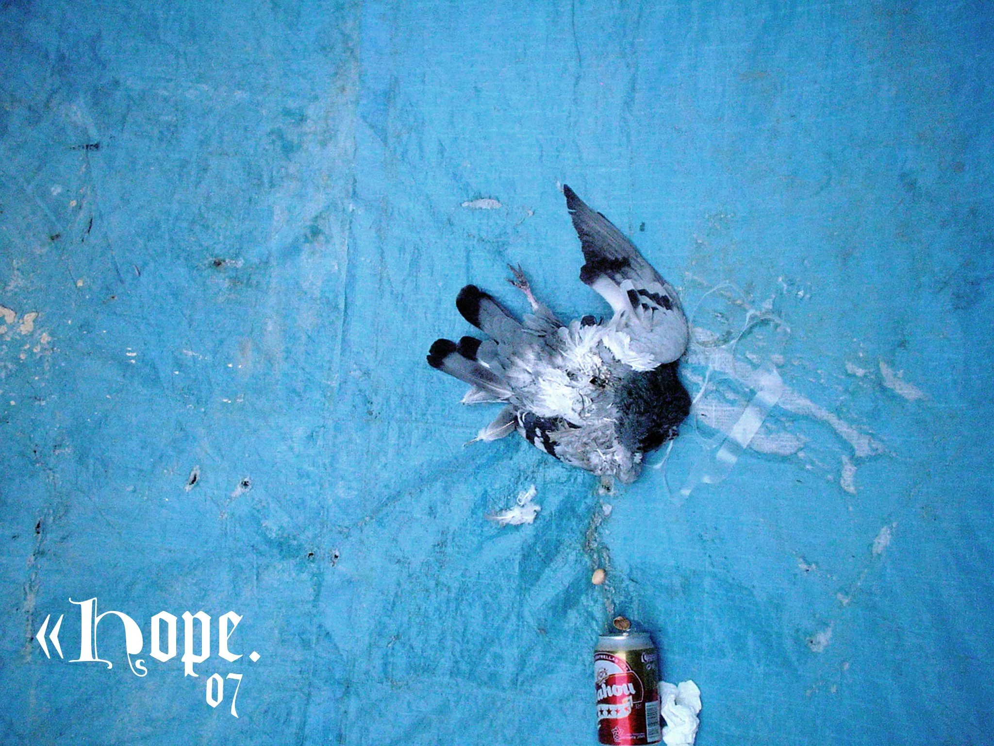 07 Hope.jpg