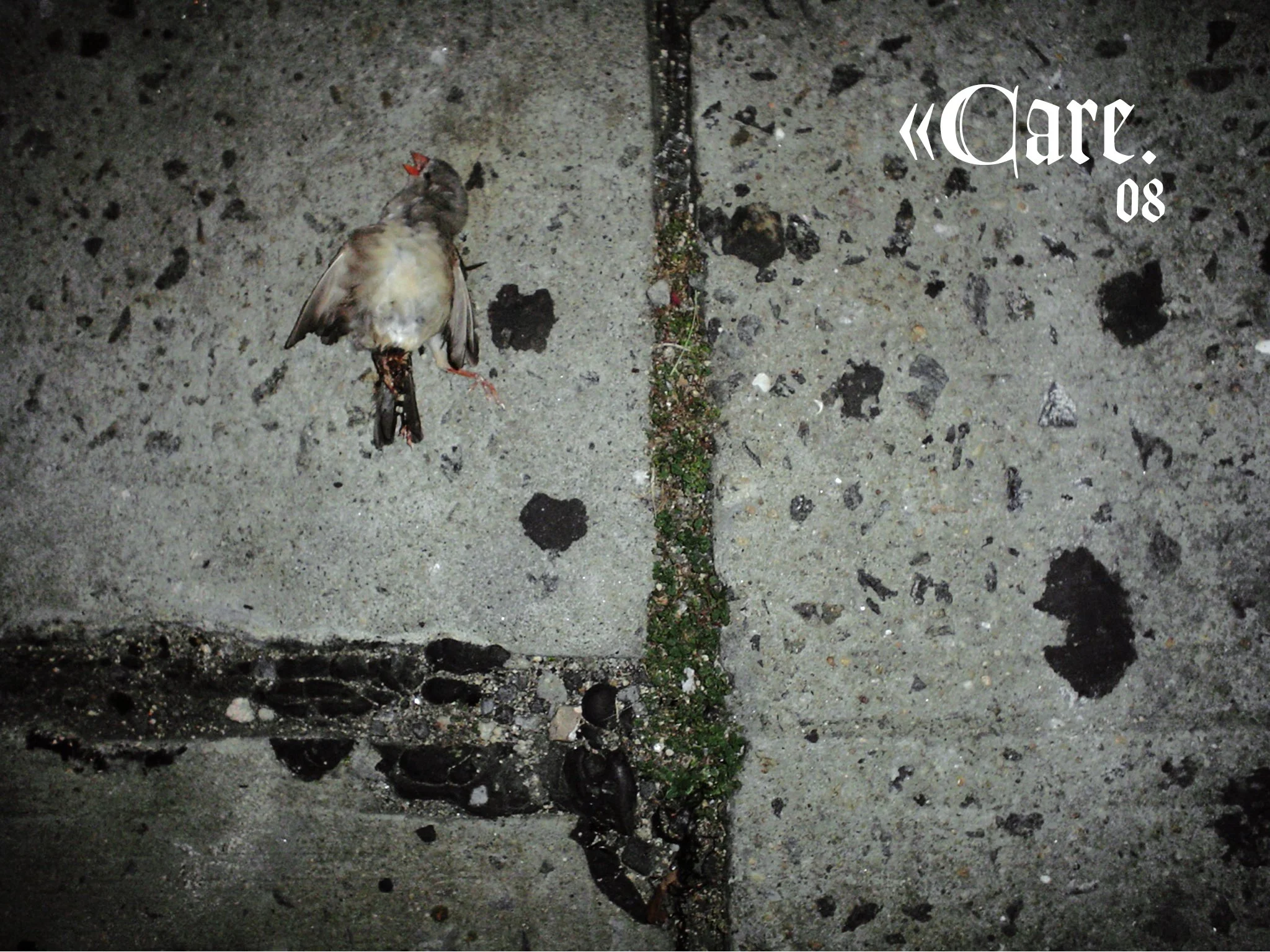 08 Care.jpg