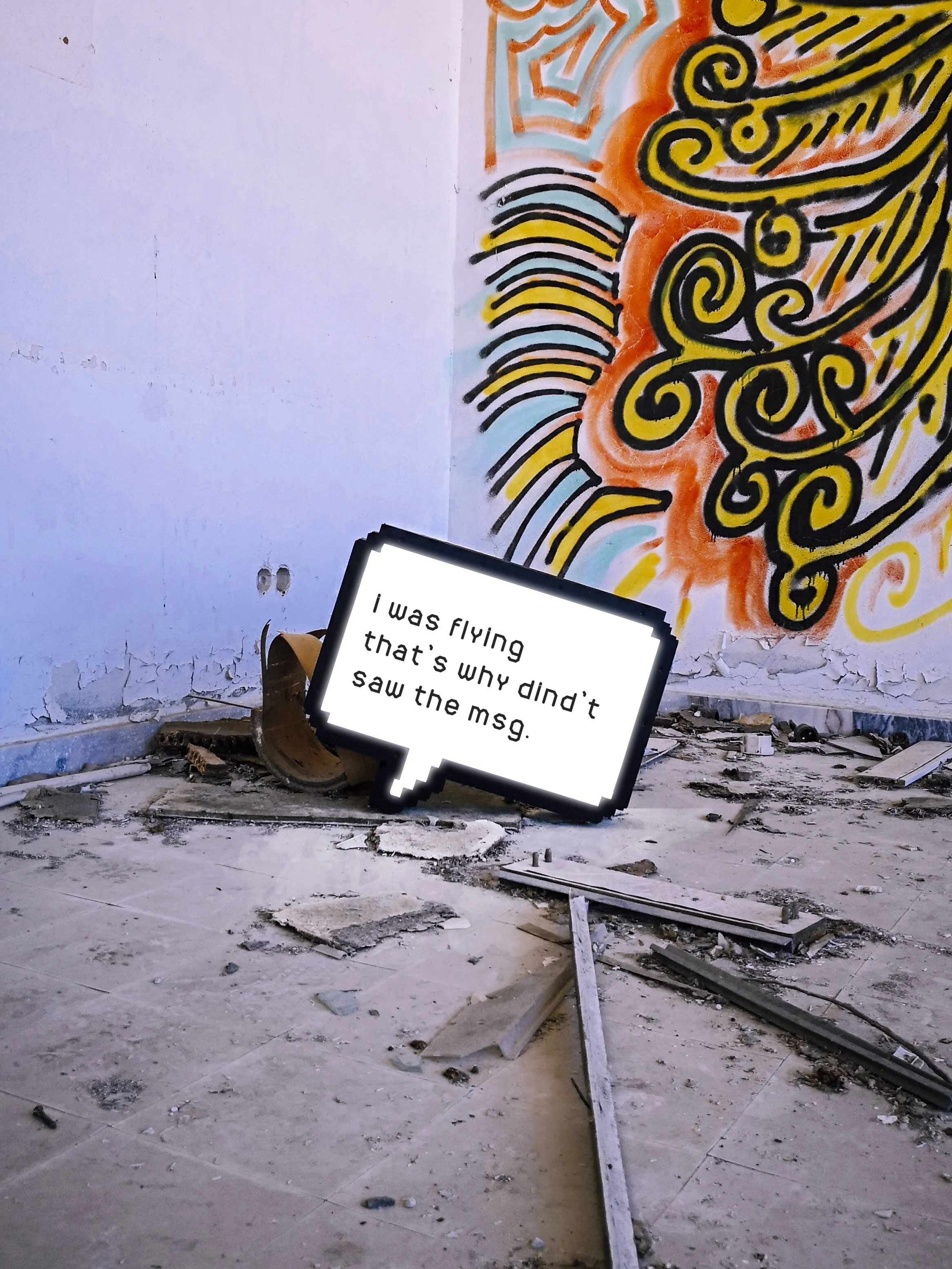 Fly SMS.jpg