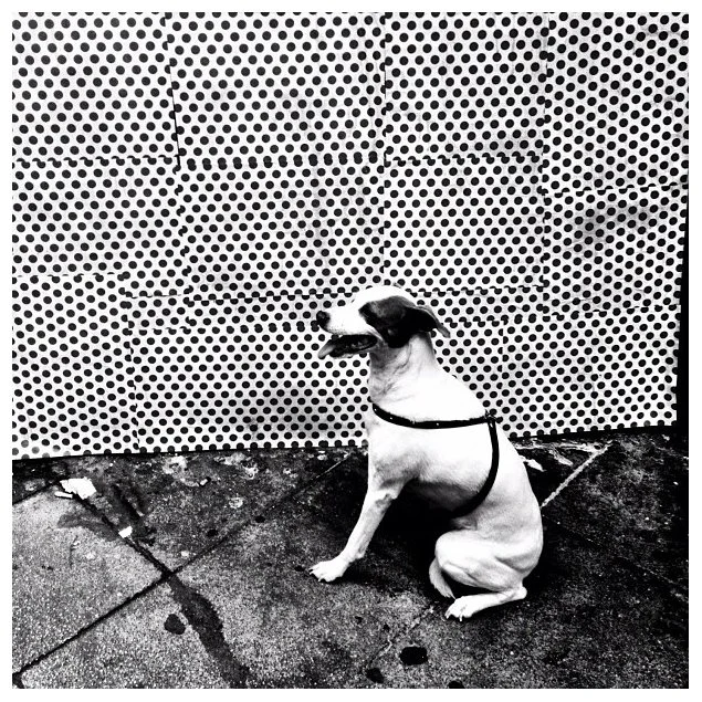 a75899f6d70a11e197e522000a1e95c4_7.jpeg