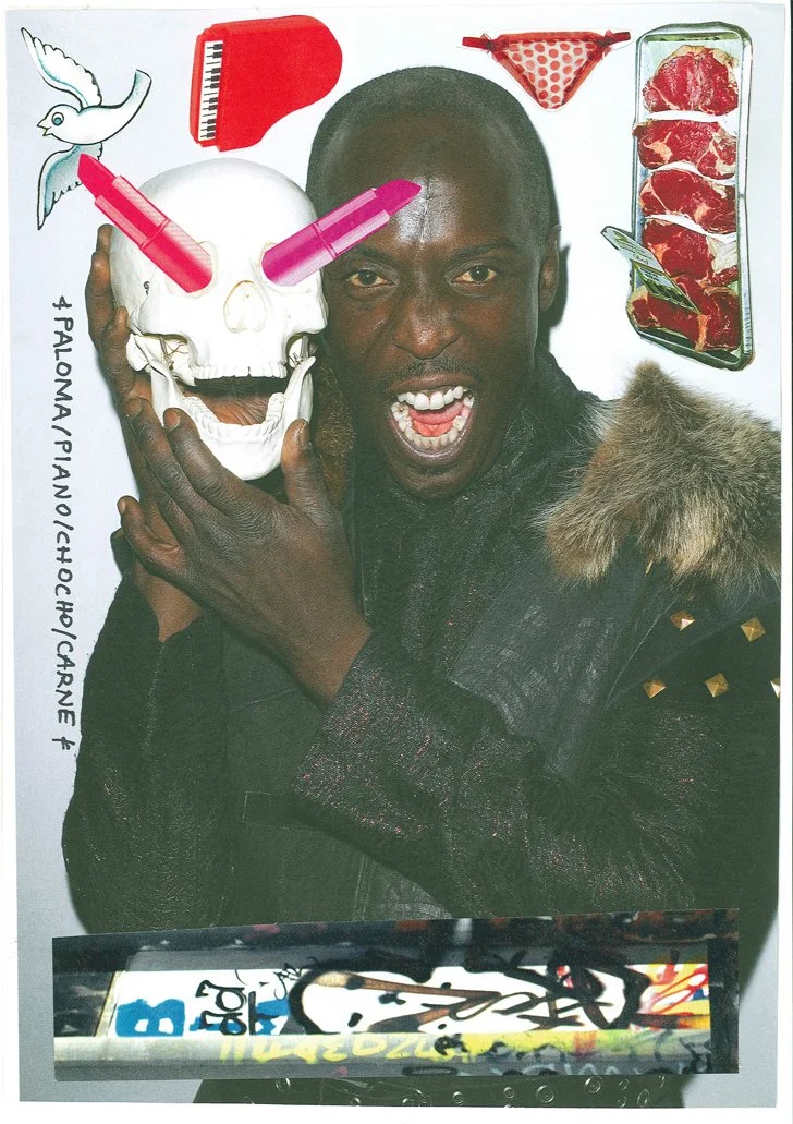 A person with dark skin and short black hair holding a skull with pink and red markers. The person is wearing a black jacket with fur trim and has a drawn tongue. Around them are images of a white dove, red comb, red polka dot bikini, tray of raw mea