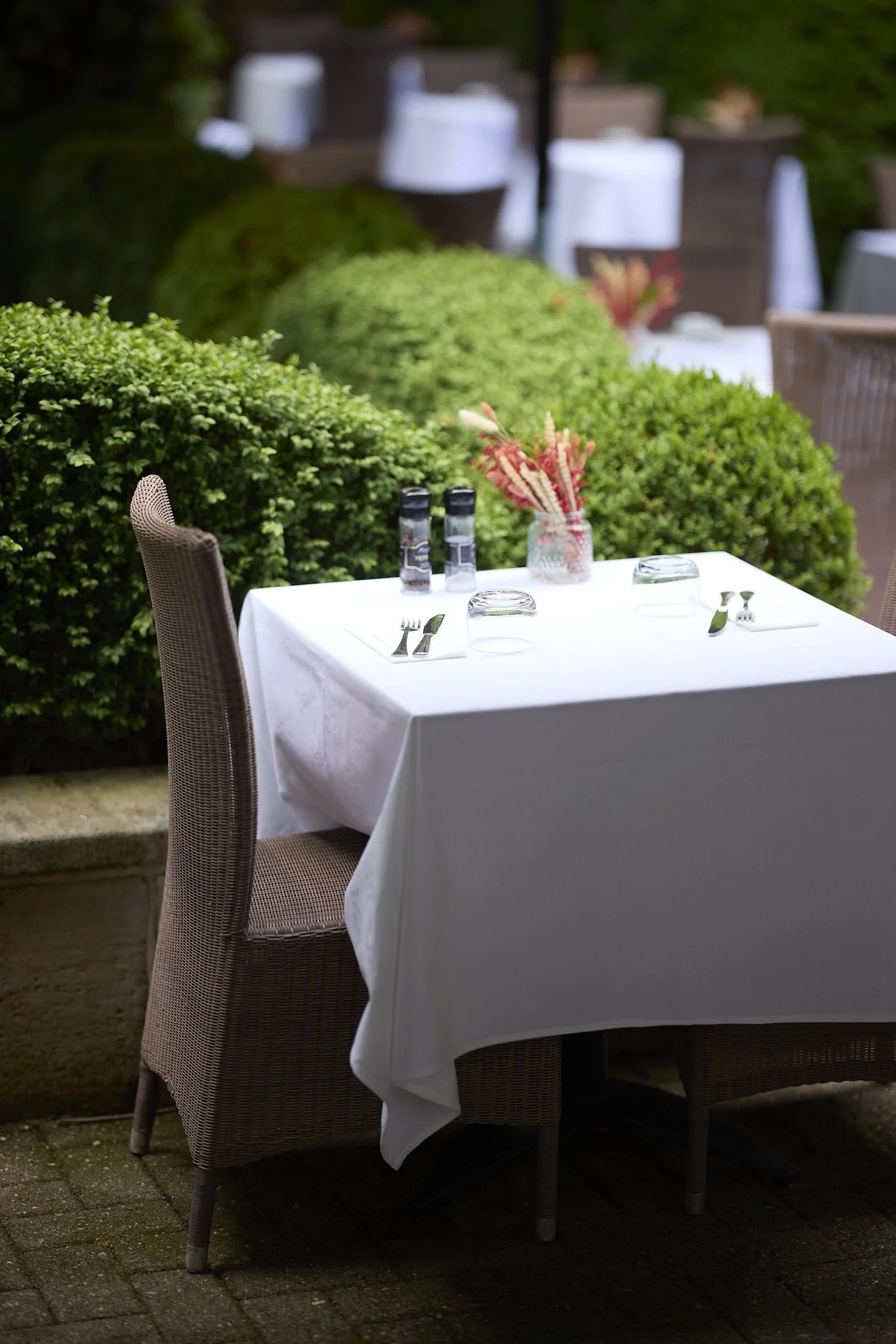 66