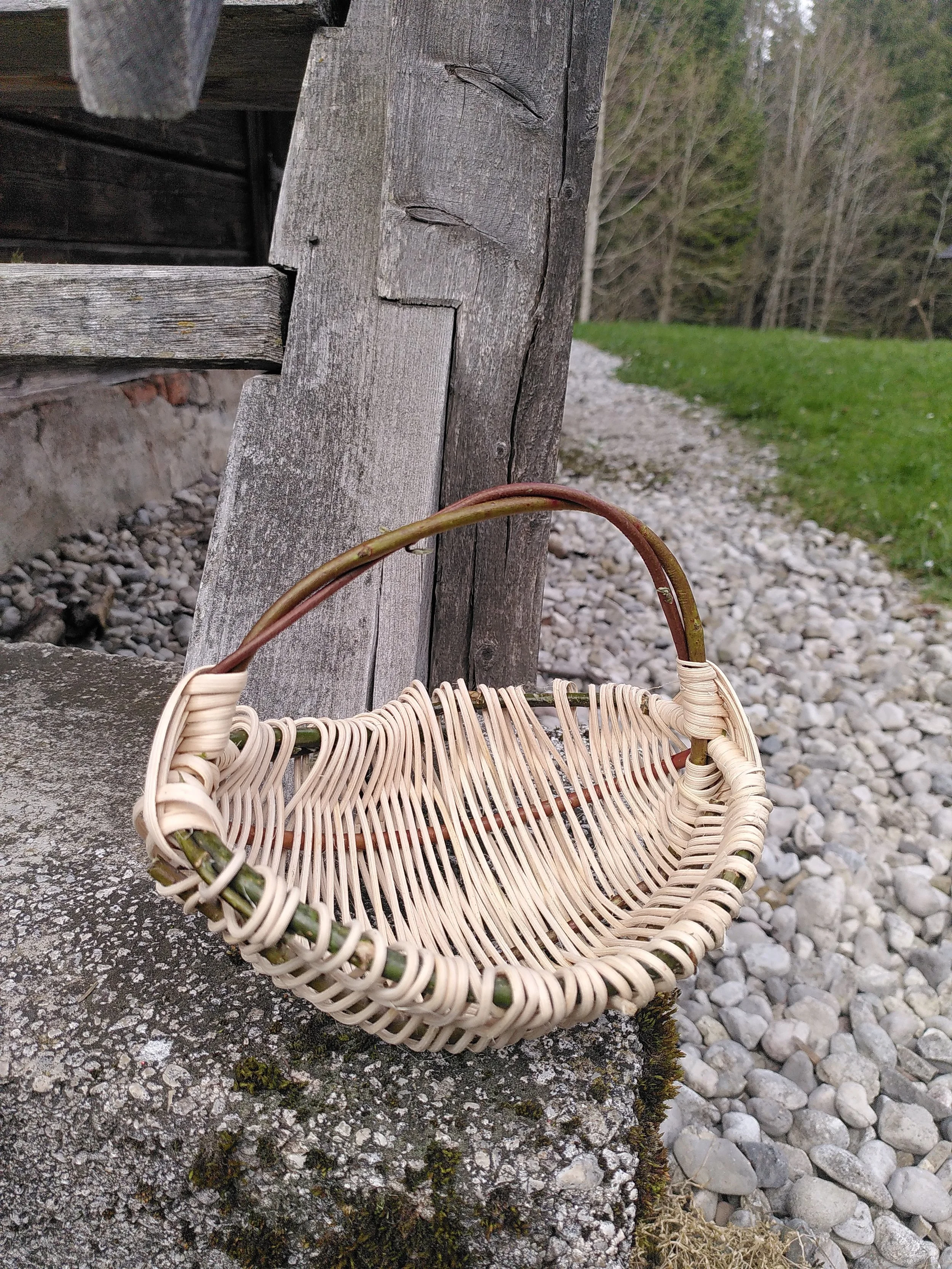 Ein leeres Korb aus Weidenzweigen, das an einem alten Baumstamm lehnt, im Freien mit Stein- und Rasenflächen im Hintergrund.