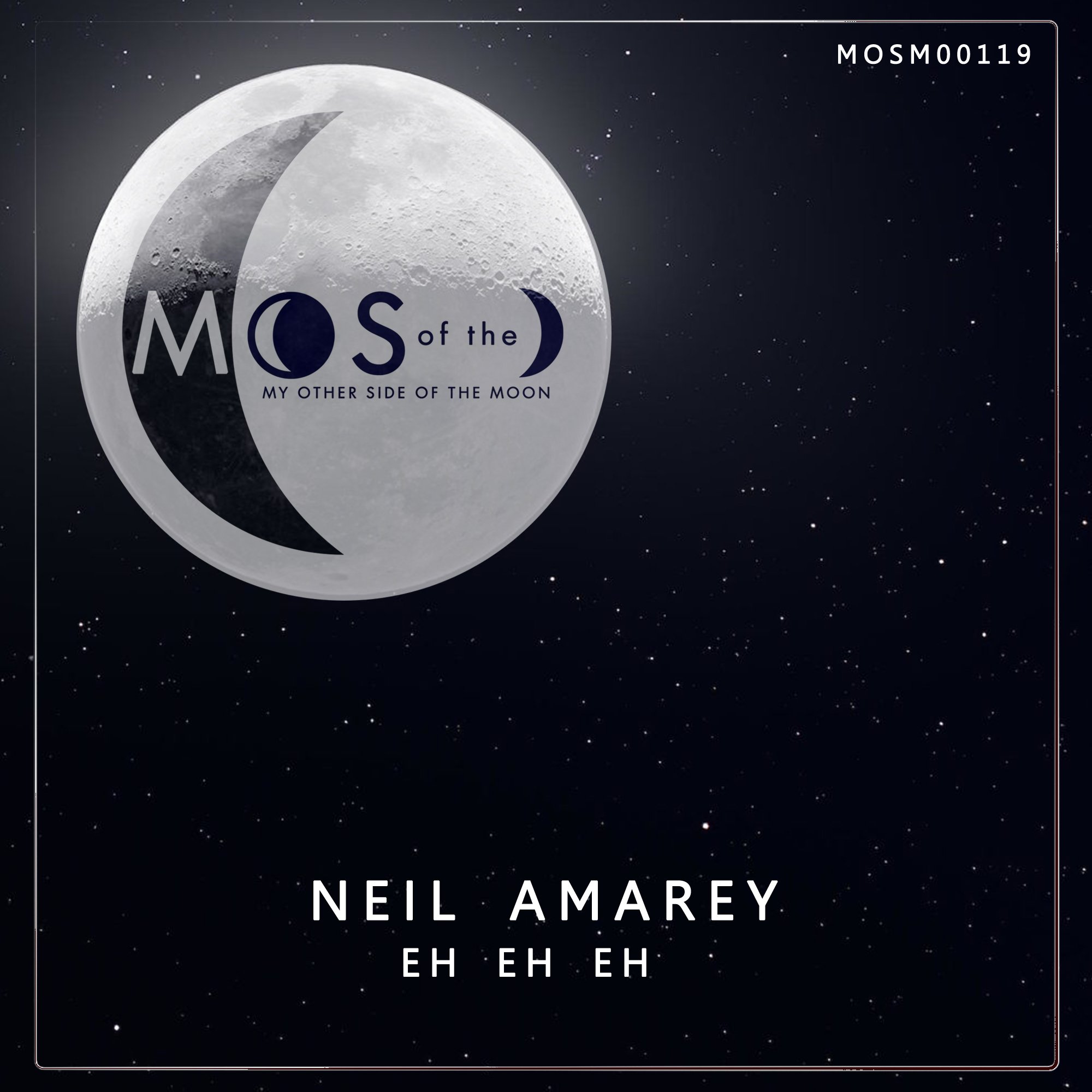Book cover titled 'Moons of the Moon' by Neil Amarey, featuring a moon with text overlay and a starry background.