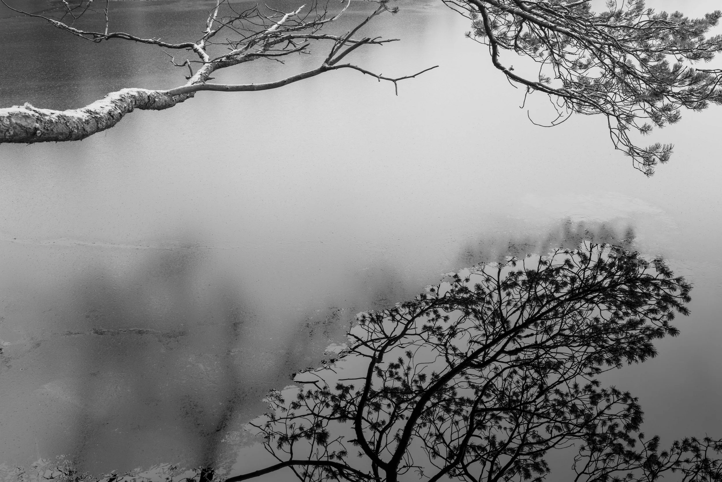 untitled-1206755.jpg