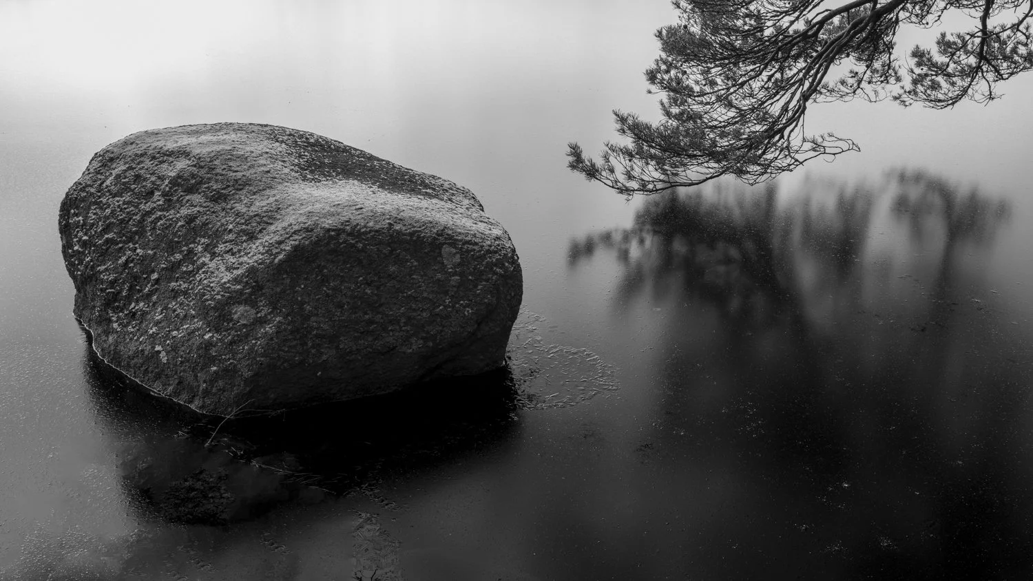 A large rock partially submerged in water next to a branch of a tree over a calm, reflective body of water.