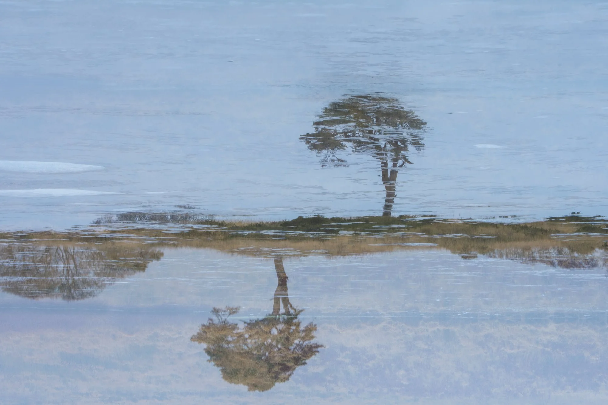 untitled-1200976.jpg