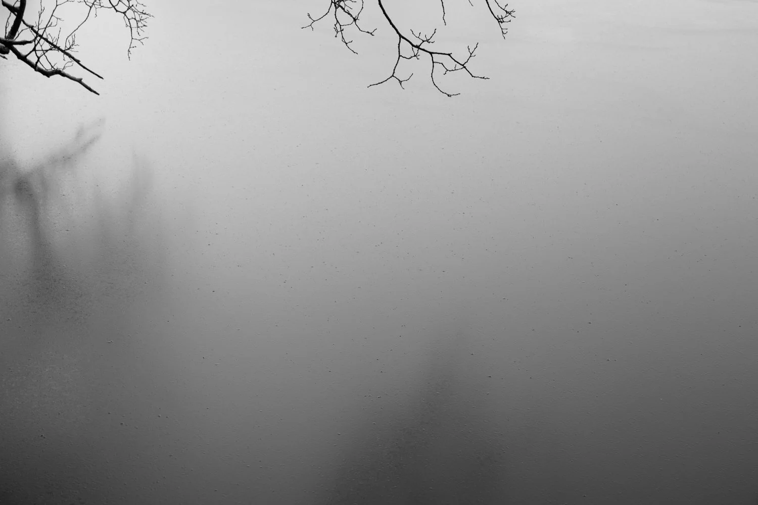untitled-1206798.jpg