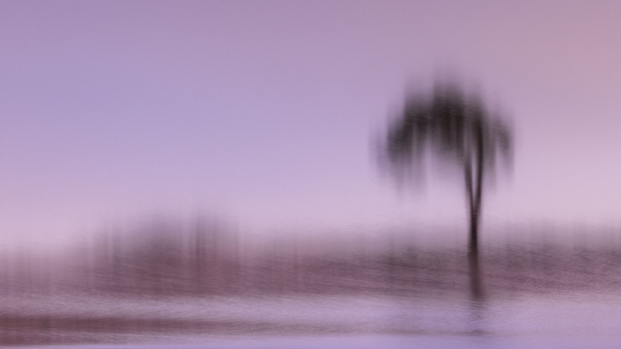 untitled-47.jpg