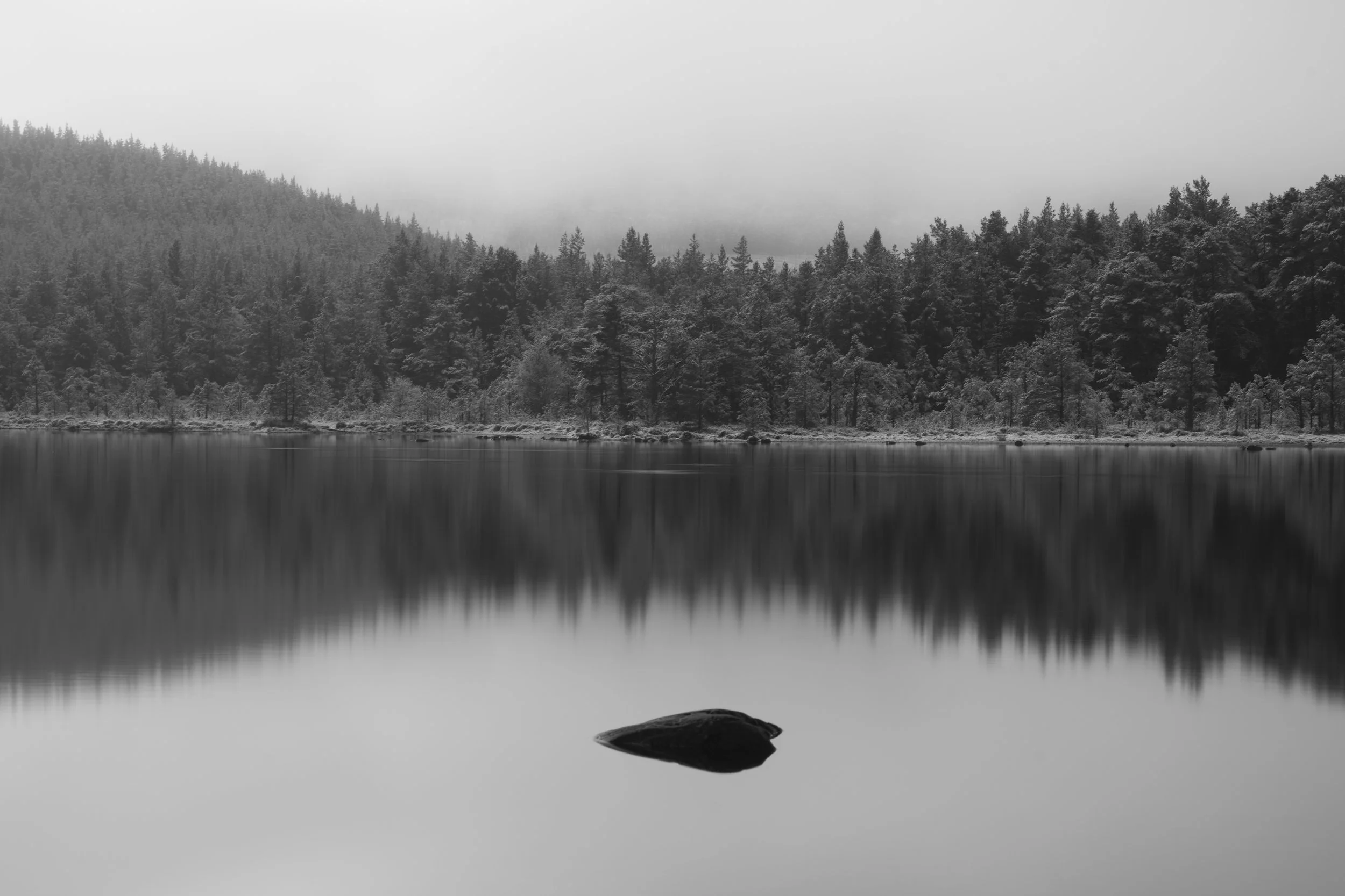 Black and white photo of a calm lake with a single rock in the foreground, surrounded by a dense forest of trees on the shoreline, and low clouds covering a mountain in the background.