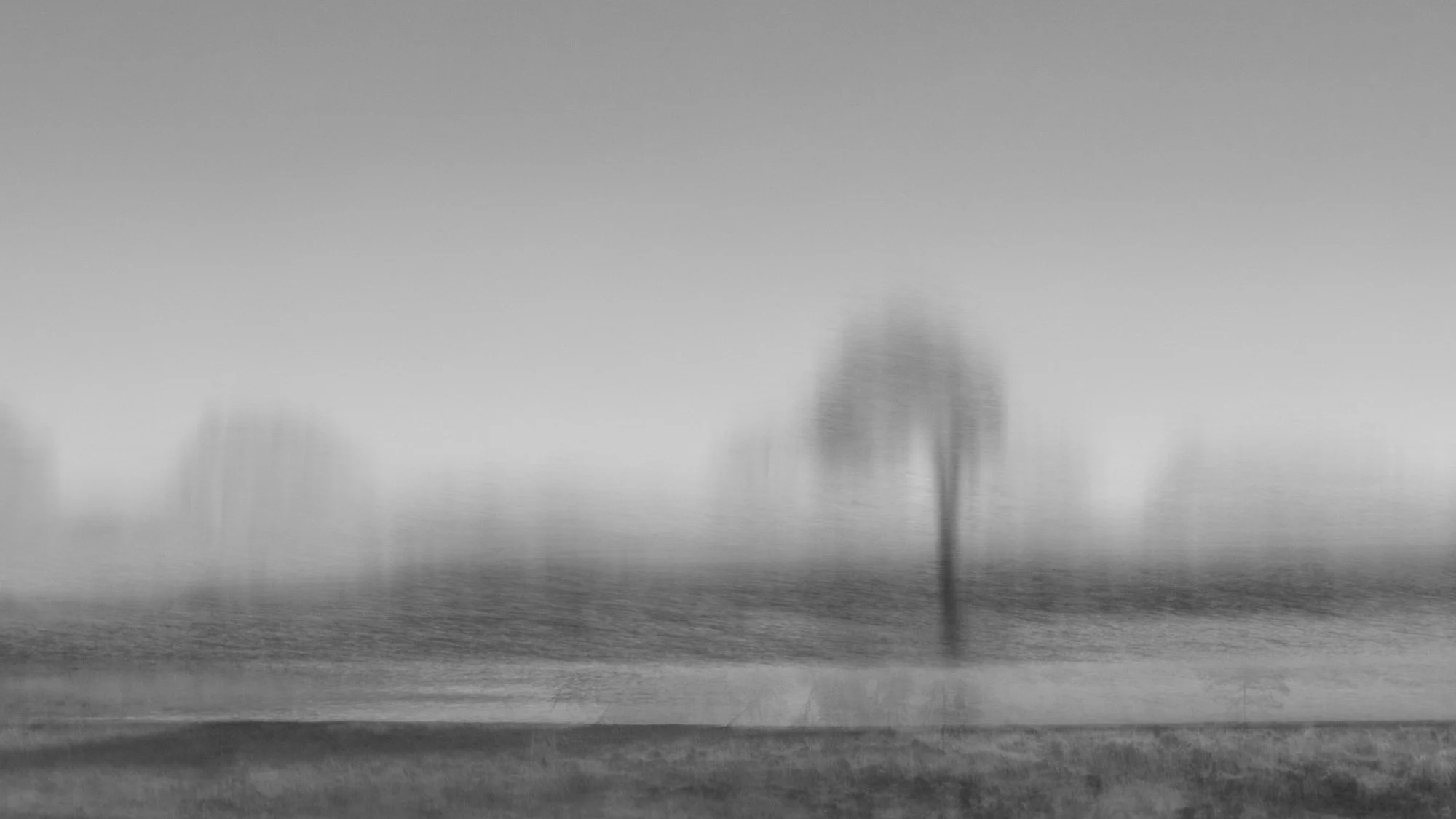 untitled-39.jpg