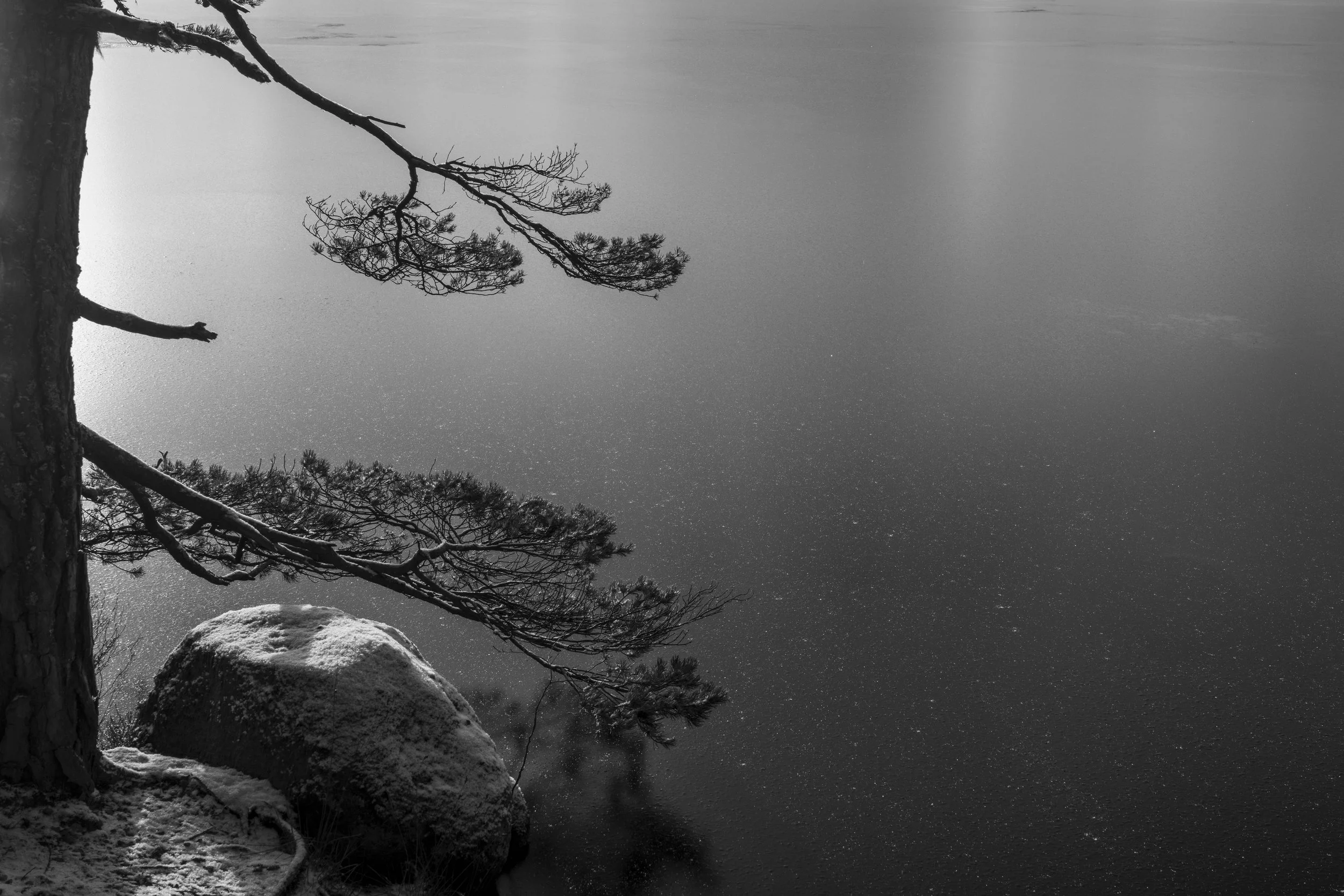 untitled-1206861.jpg