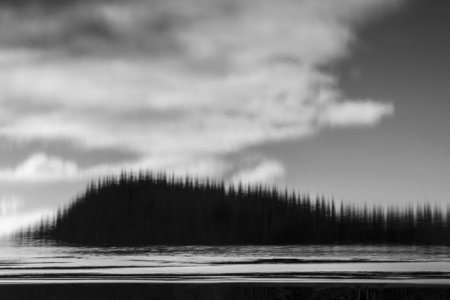 Black and white photograph of a large, forested island with tall pine trees, surrounded by water, under a sky with clouds.