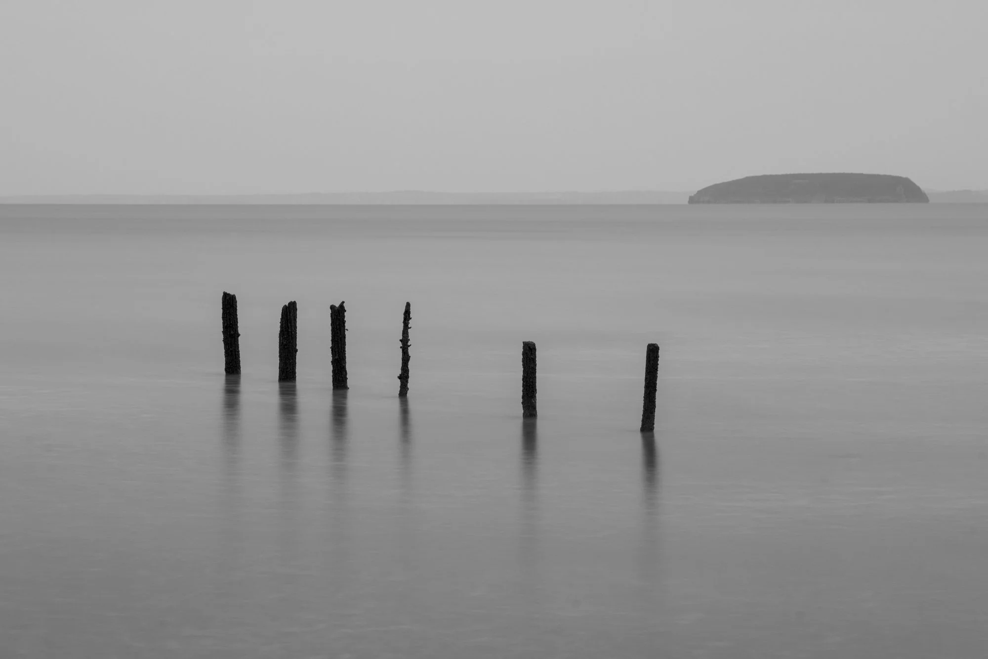 20230304-_1MH0849.jpg
